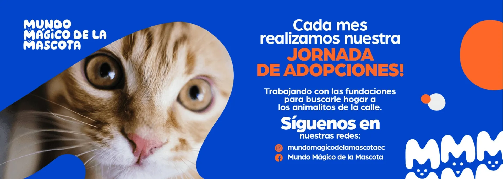 Catalogo de Catálogo Mundo Mágico de la Mascota 20 de diciembre al 26 de diciembre 2024 - Pag 2