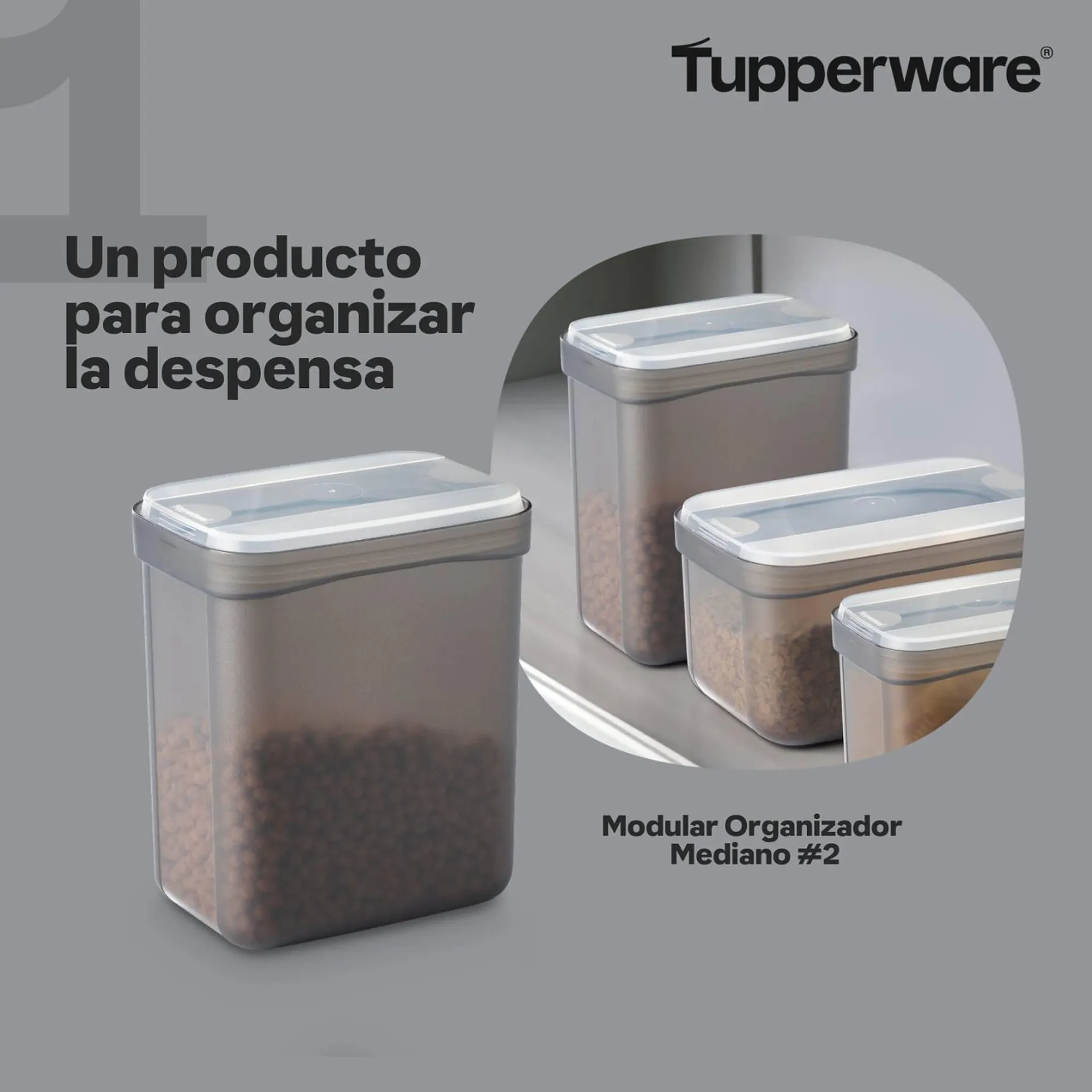 Catálogo Tupperware - 2