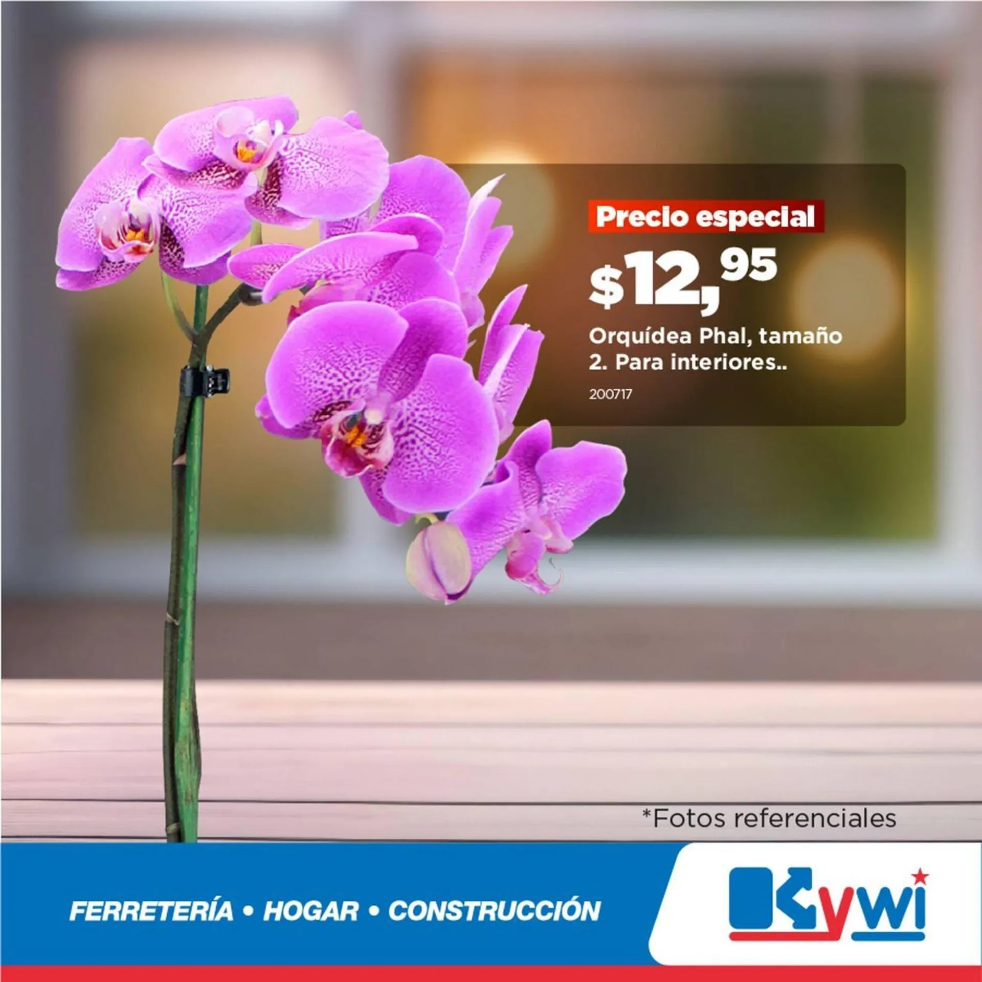 Catálogo Kywi - 1