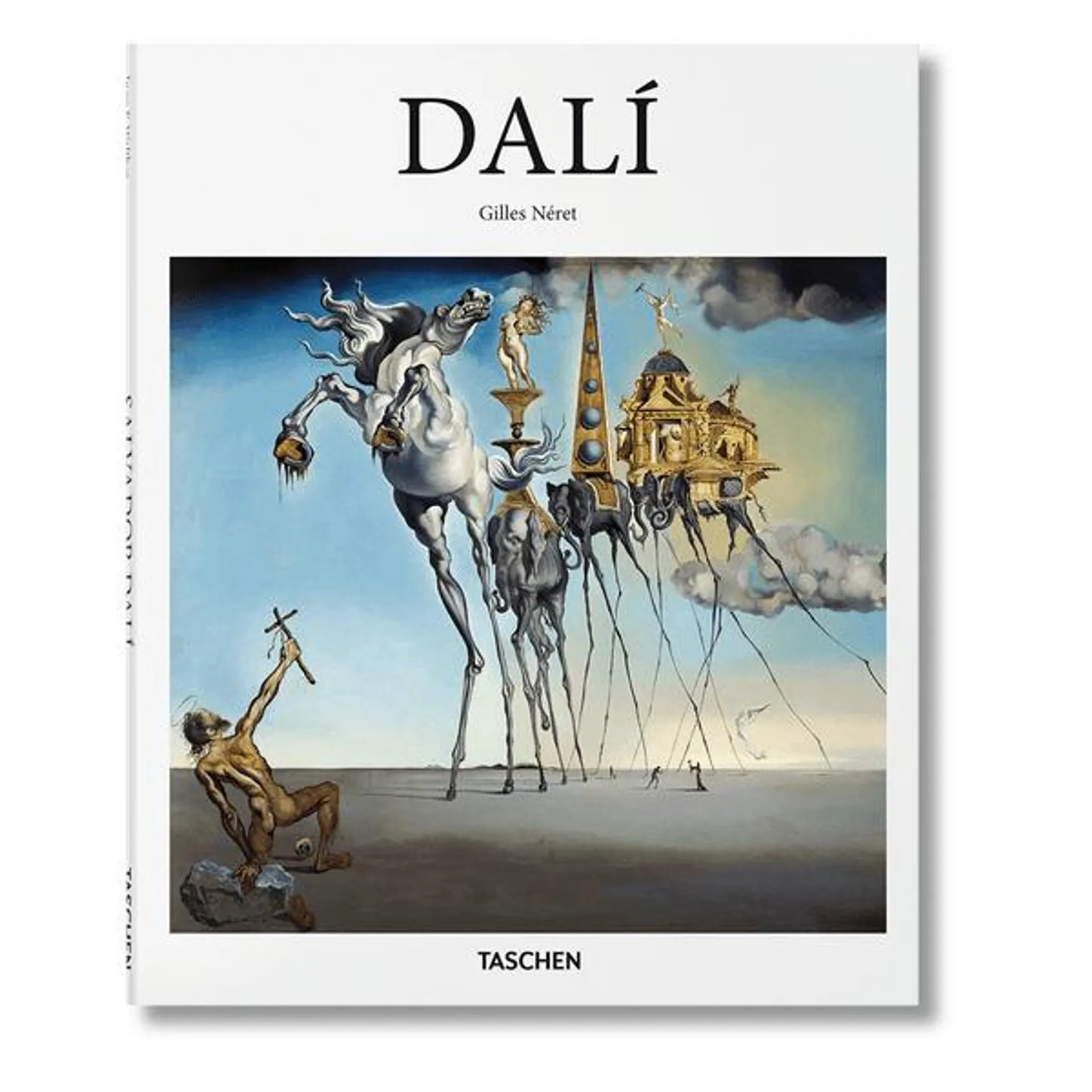 Libro Dali - Neret Gill