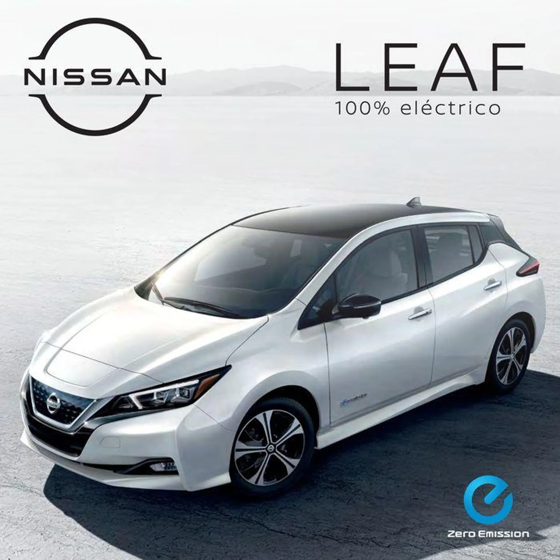Nissan Leaf - 1