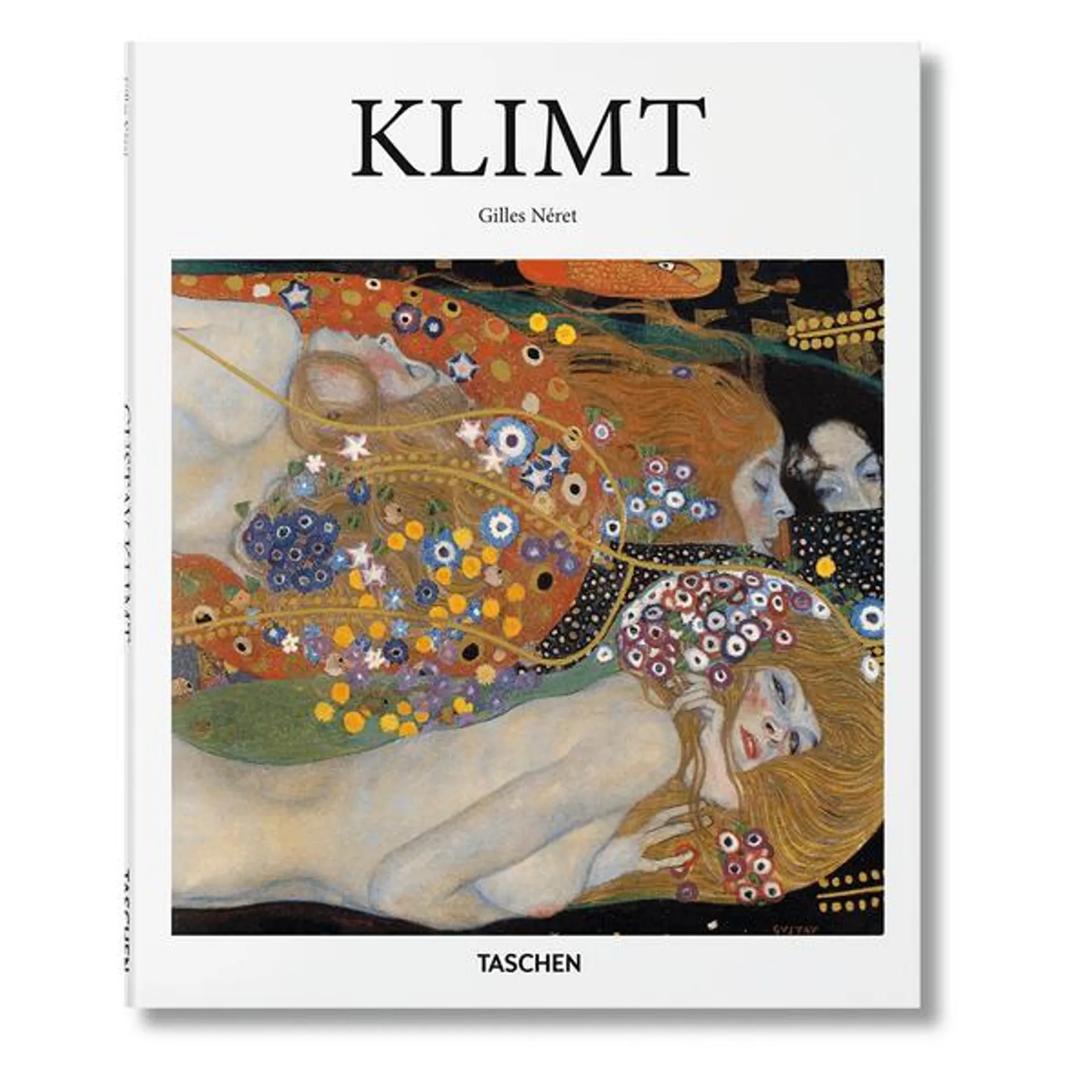 Libro Klimt - Neret Gill