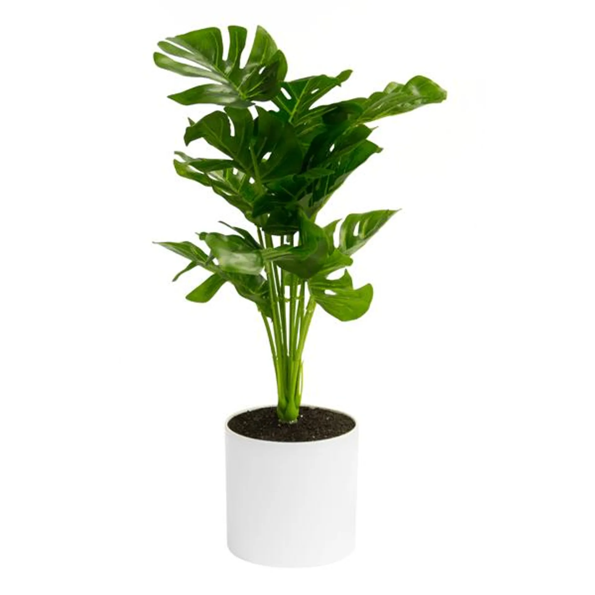 Planta Decorativa con Maceta Blanca 38 cm