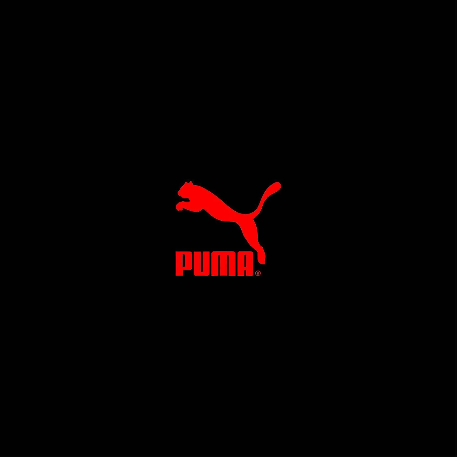 Catálogo Puma - 12