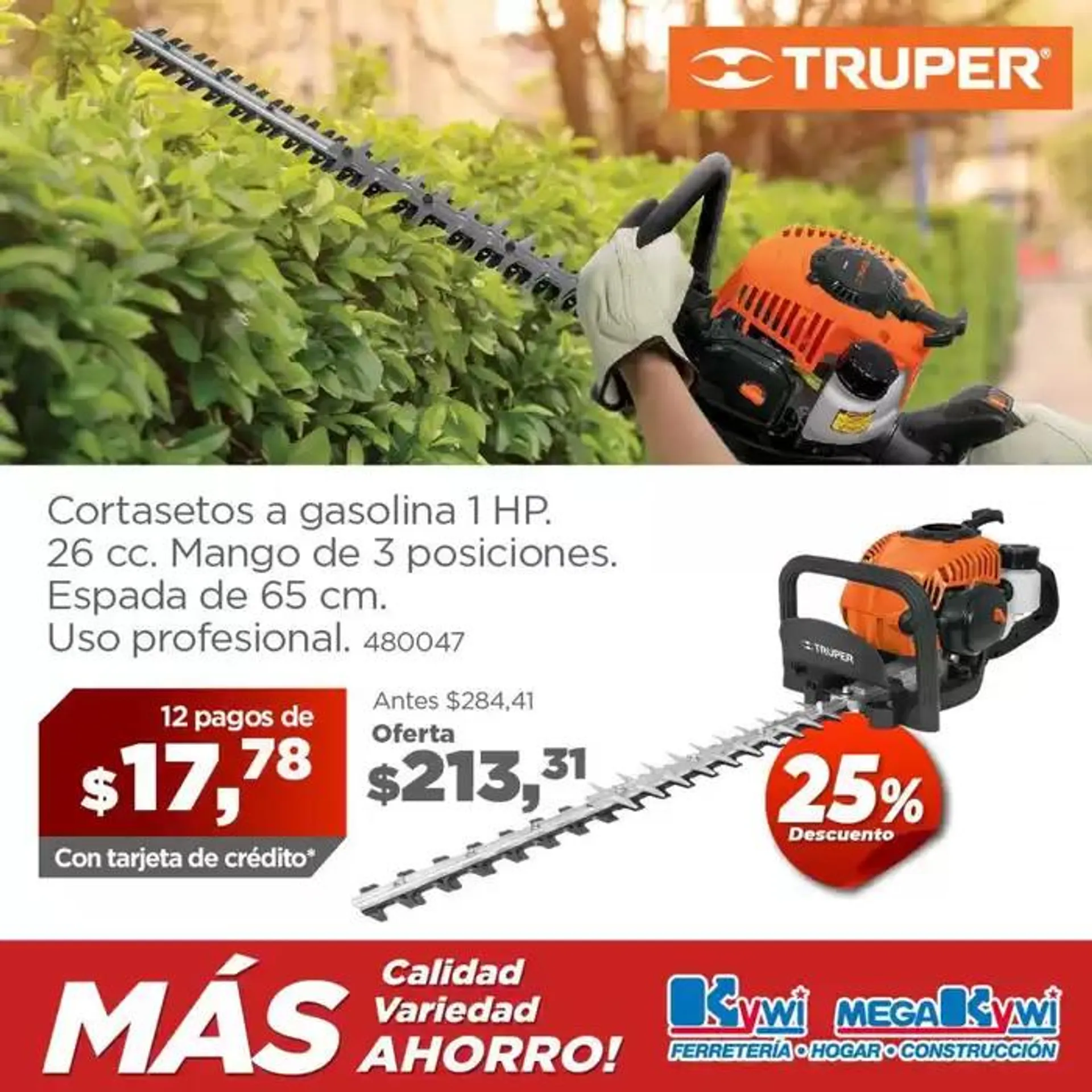 Catalogo de Tu jardin siempre hermoso 7 de octubre al 31 de octubre 2024 - Pag 7