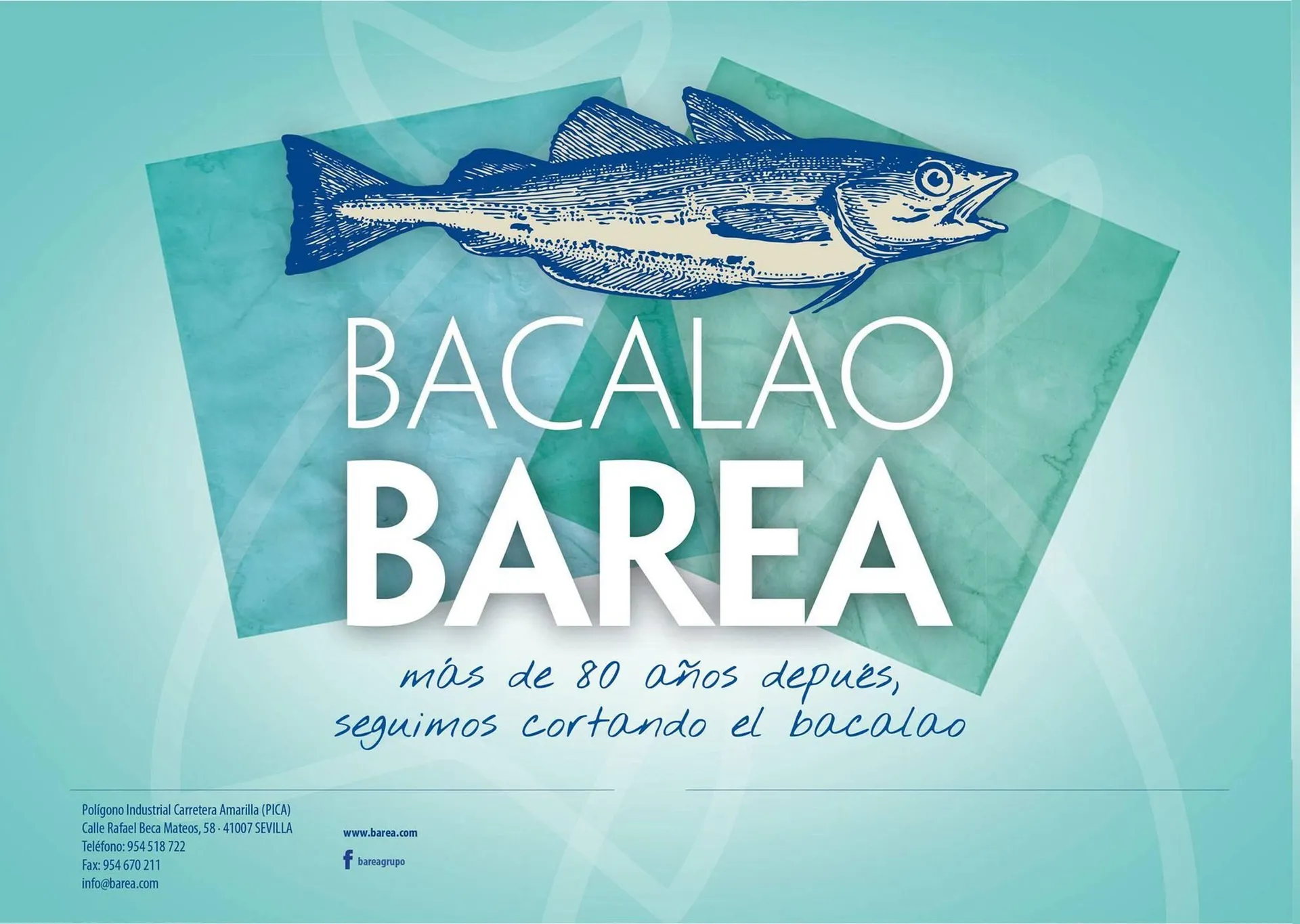 Catálogo de Folleto Cash Barea 13 de septiembre al 1 de enero 2025 - Página 2