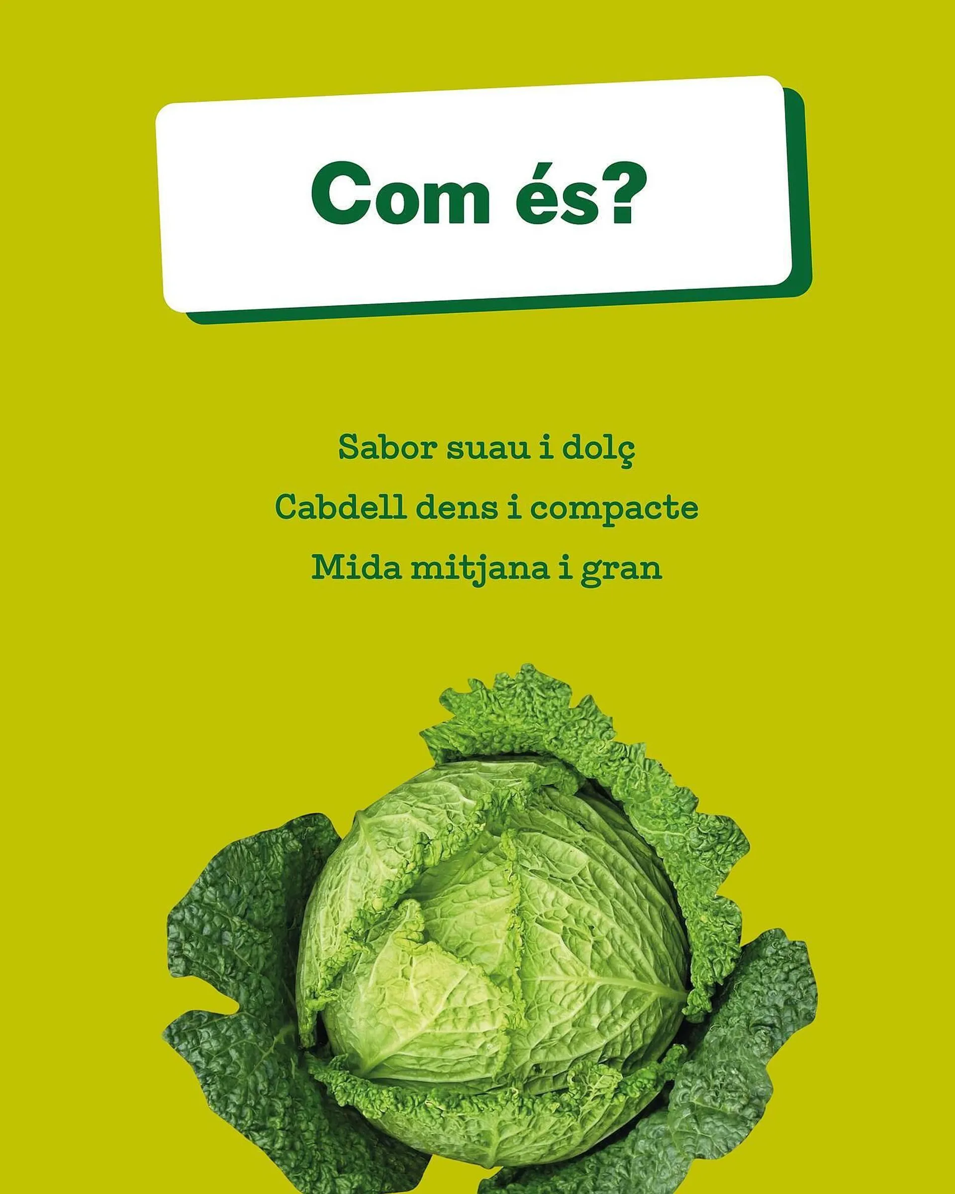 Catálogo de Folleto Sorli 20 de enero al 26 de enero 2025 - Página 2