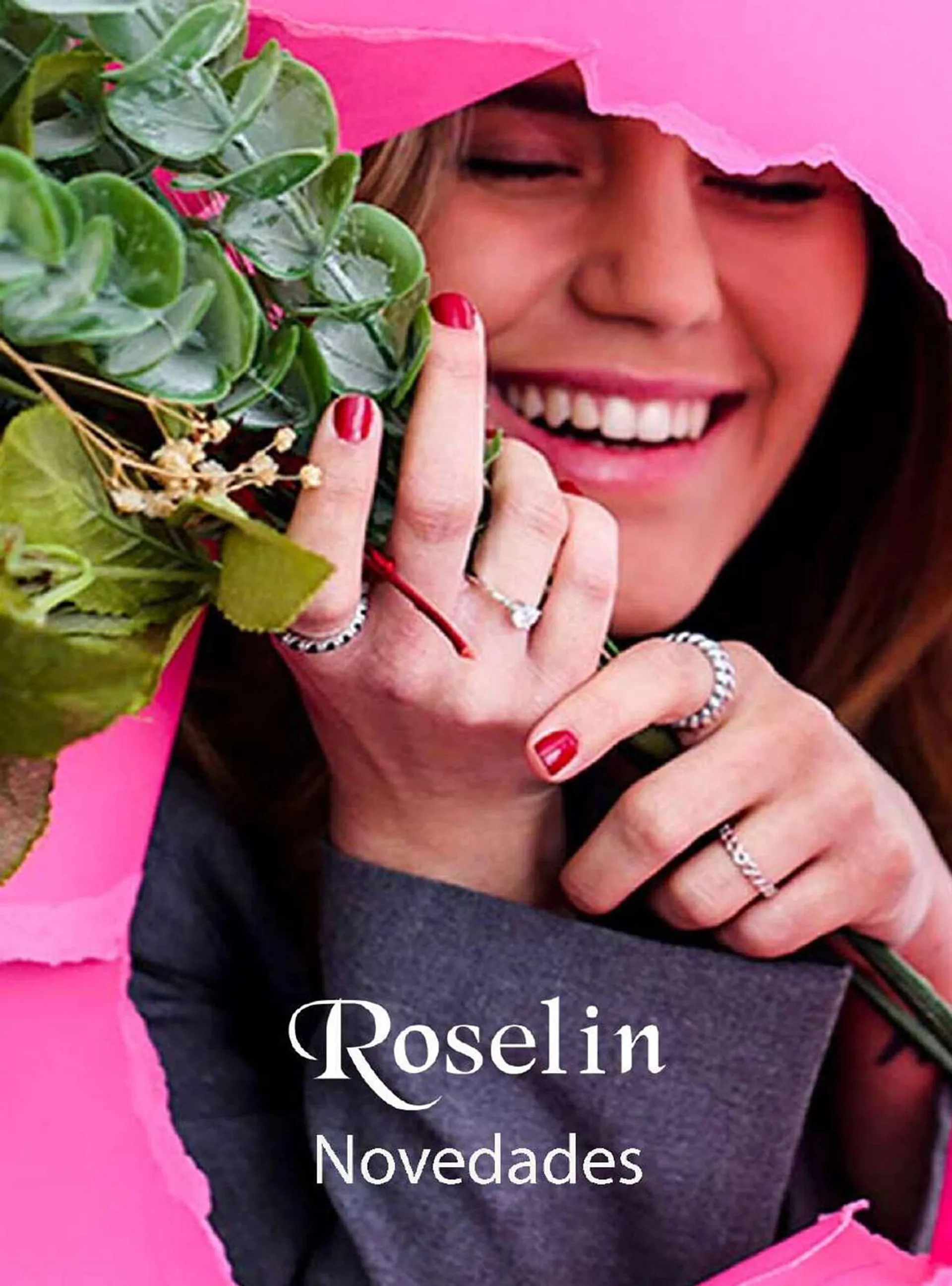 Folleto Roselin - 1