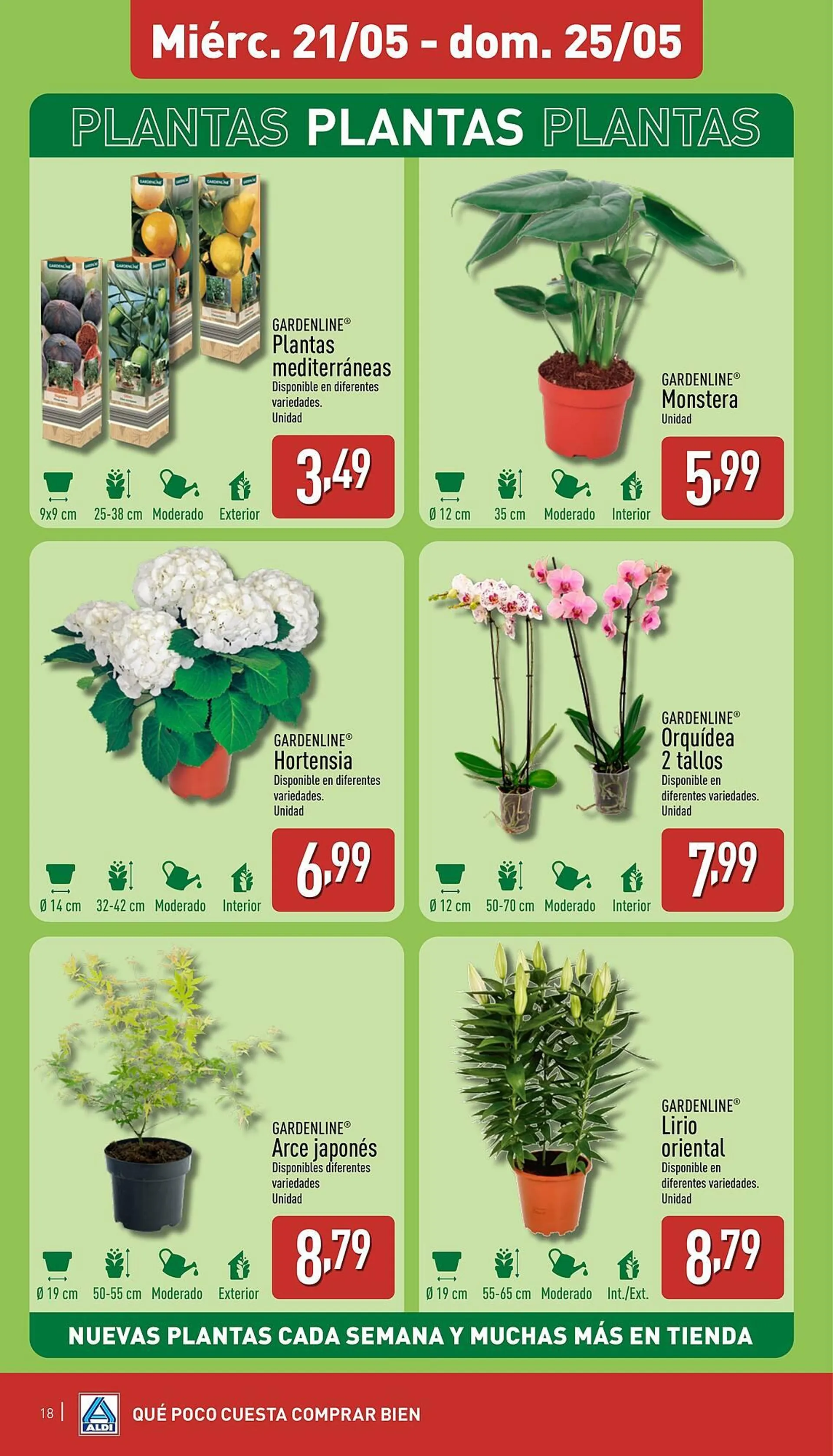 Catálogo de Folleto ALDI 19 de mayo al 25 de mayo 2025 - Página 18