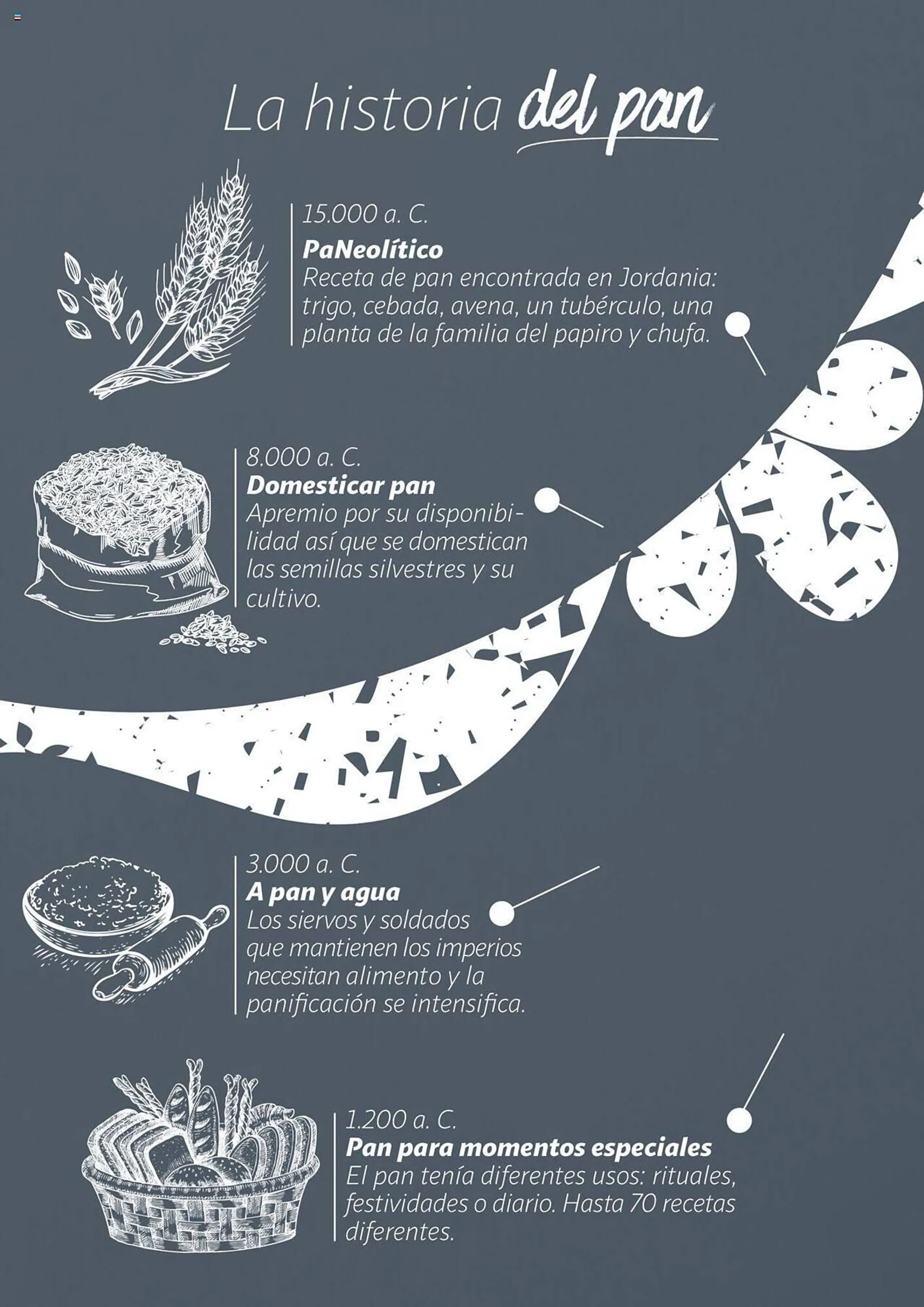 Catálogo de Folleto Alcampo 19 de junio al 31 de diciembre 2024 - Página 4