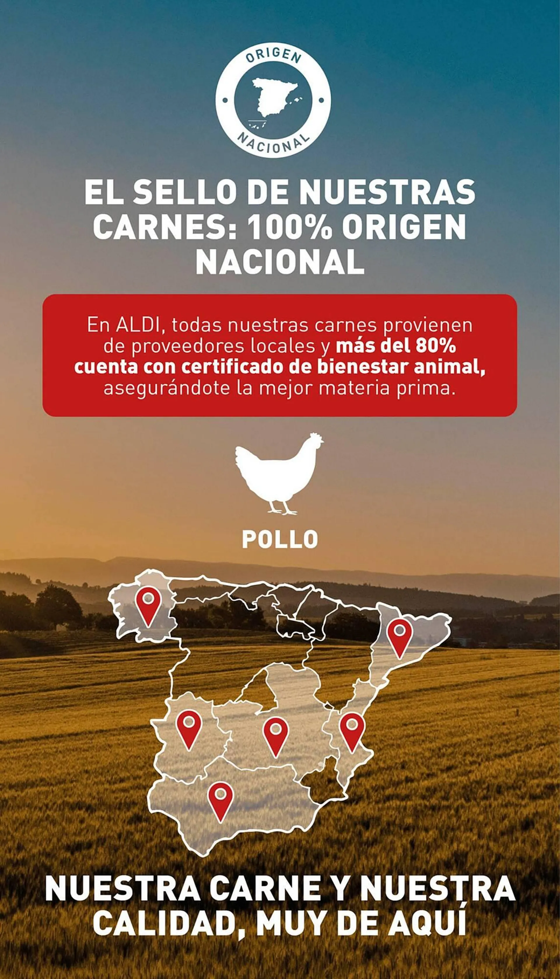 Catálogo de Folleto ALDI 6 de noviembre al 12 de noviembre 2024 - Página 8