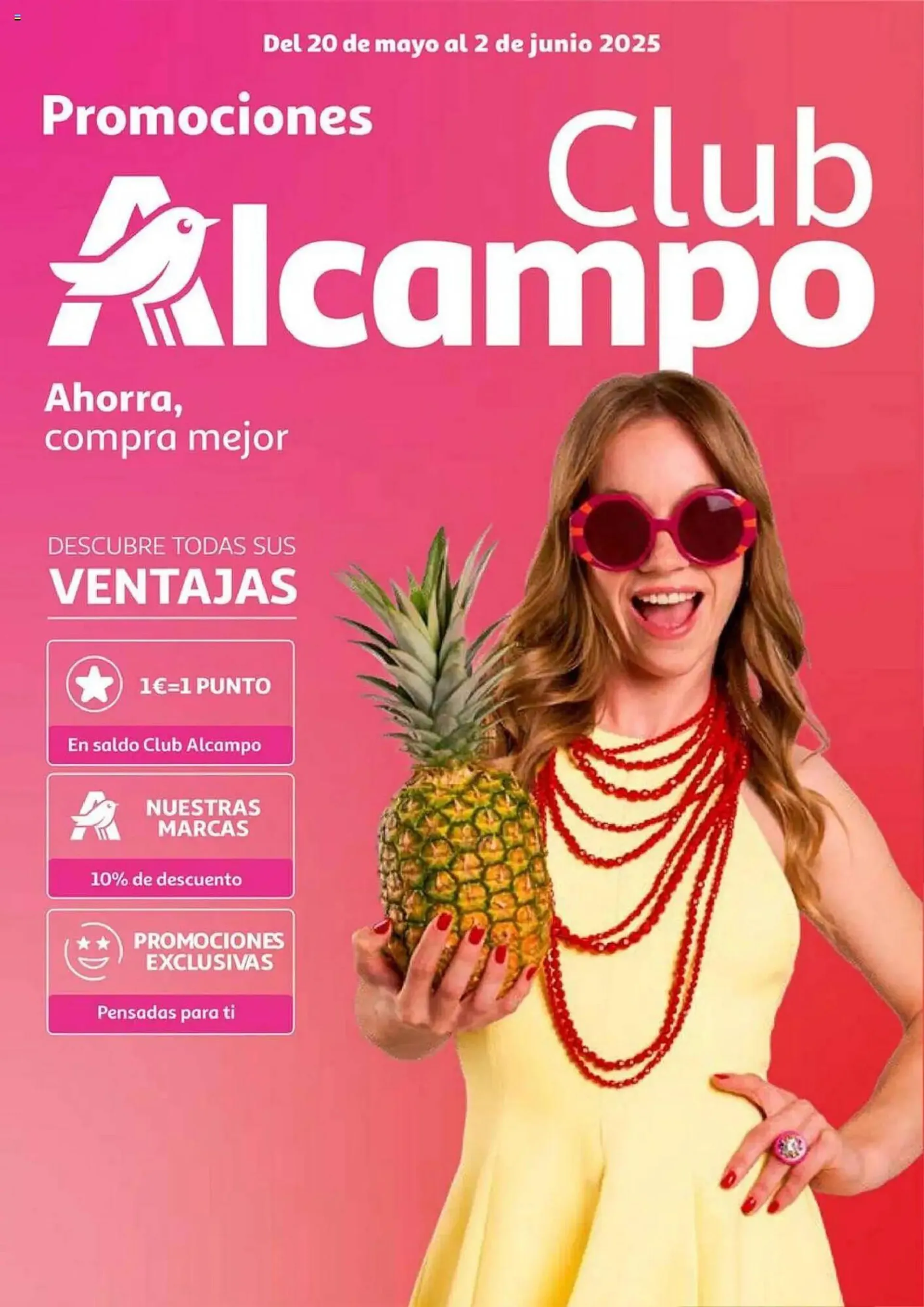 Folleto Alcampo - 1