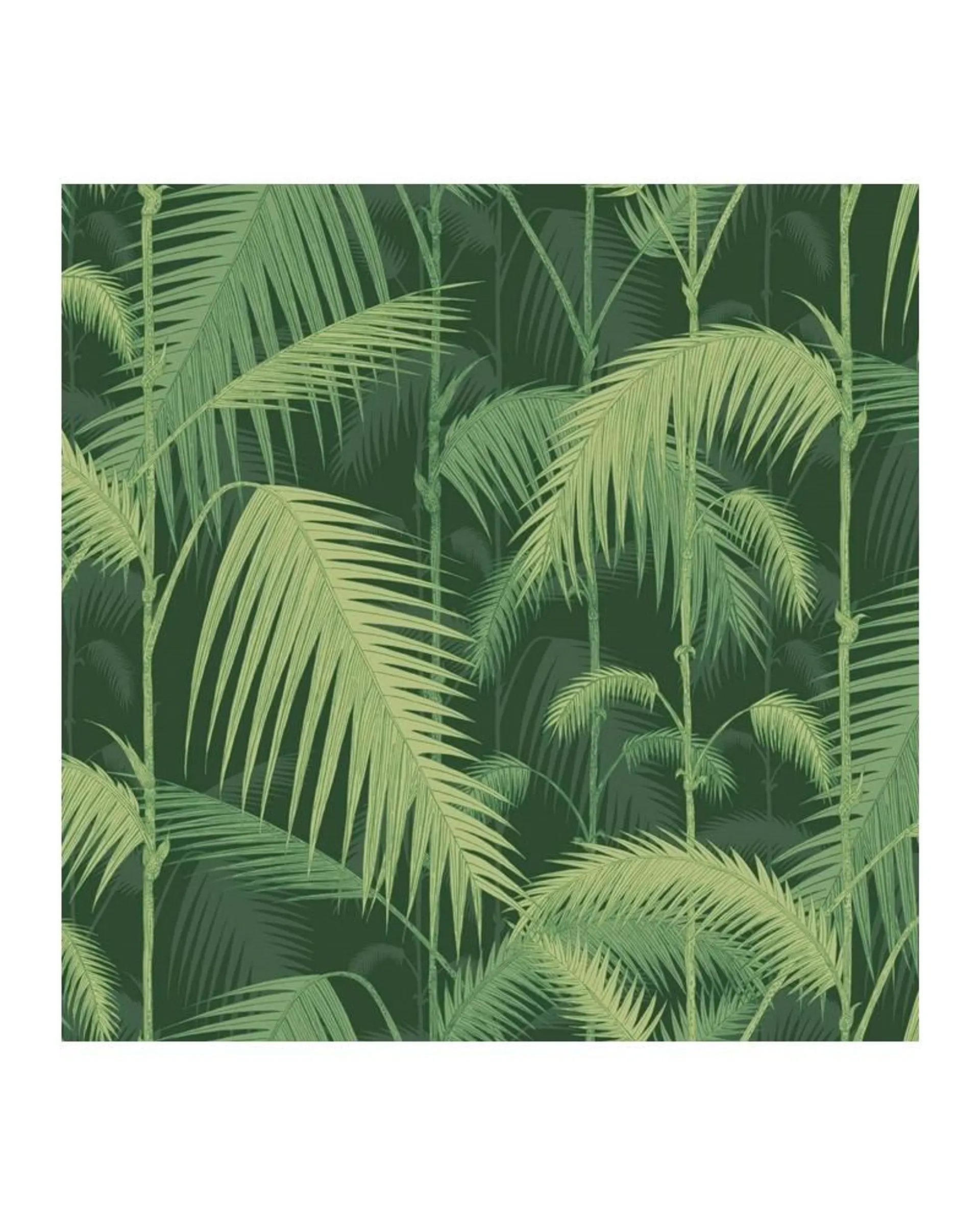 PAPEL PINTADO 112-1003 PALM JUNGLE