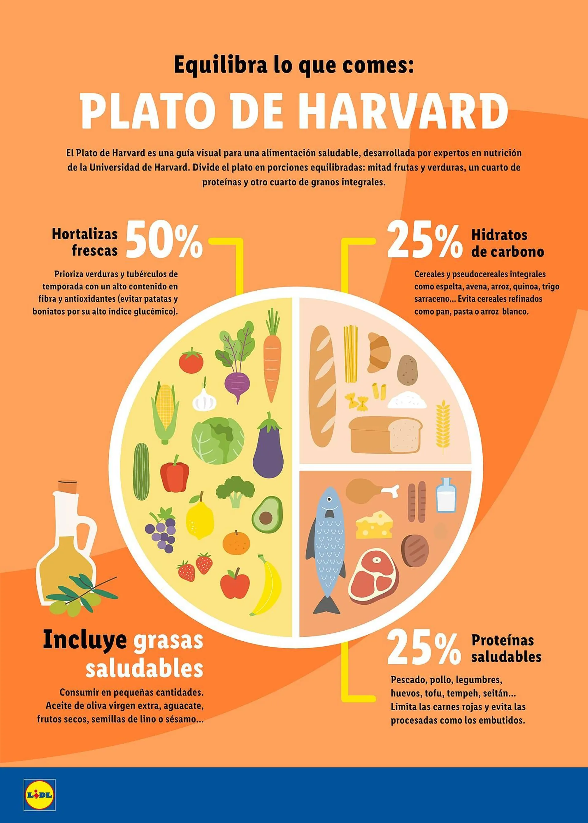 Catálogo de Folleto Lidl 26 de mayo al 1 de junio 2025 - Página 14