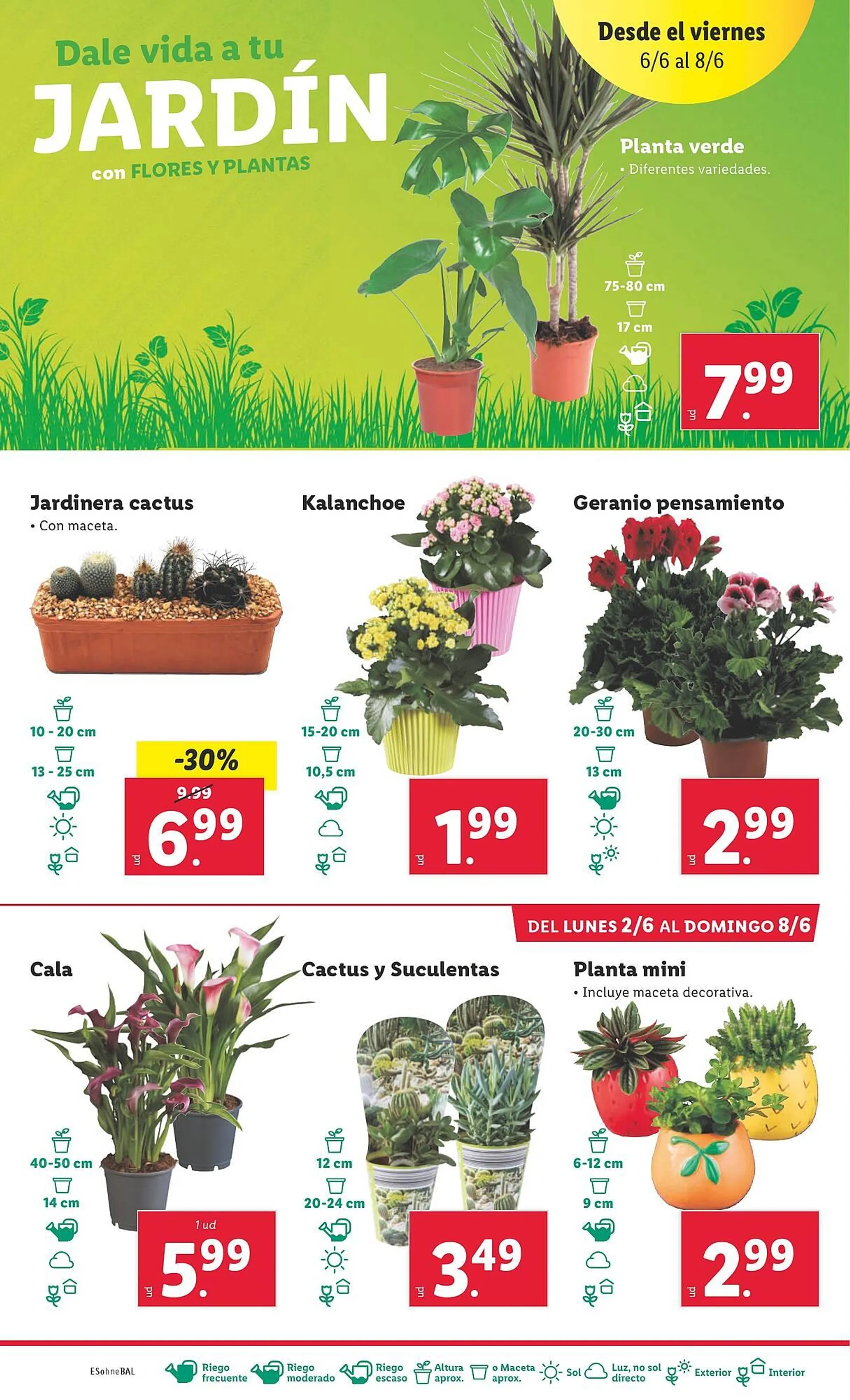 Catálogo de Folleto Lidl 26 de mayo al 1 de junio 2025 - Página 36