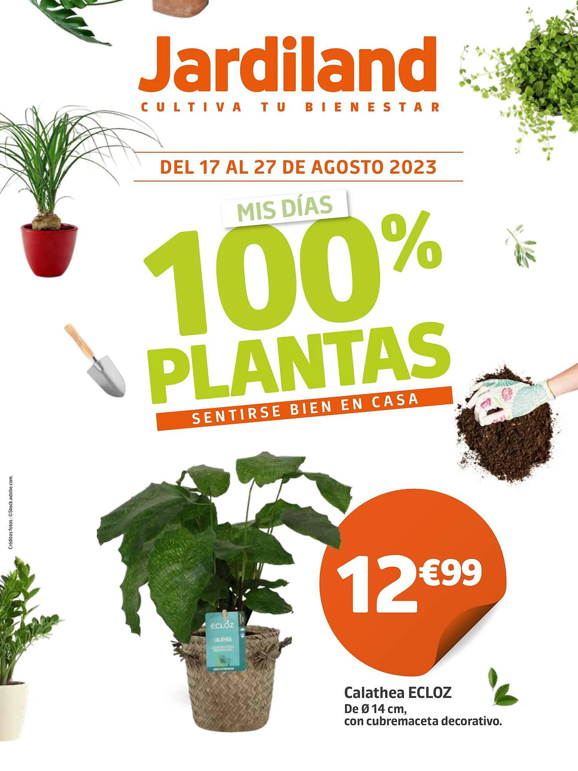 Folleto Jardiland - 1