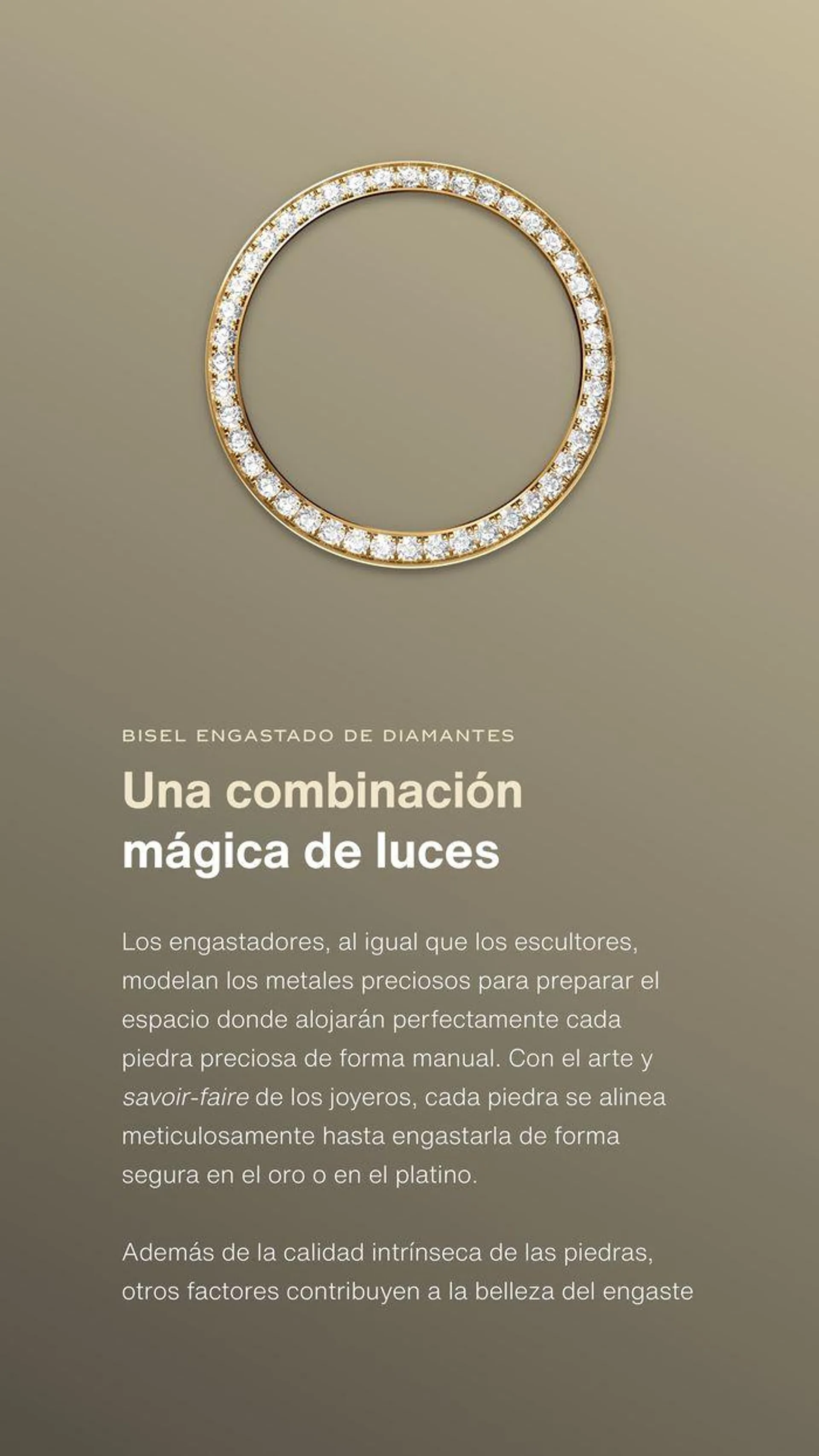 Catálogo de Lady-Datejust 12 de julio al 31 de diciembre 2024 - Página 5