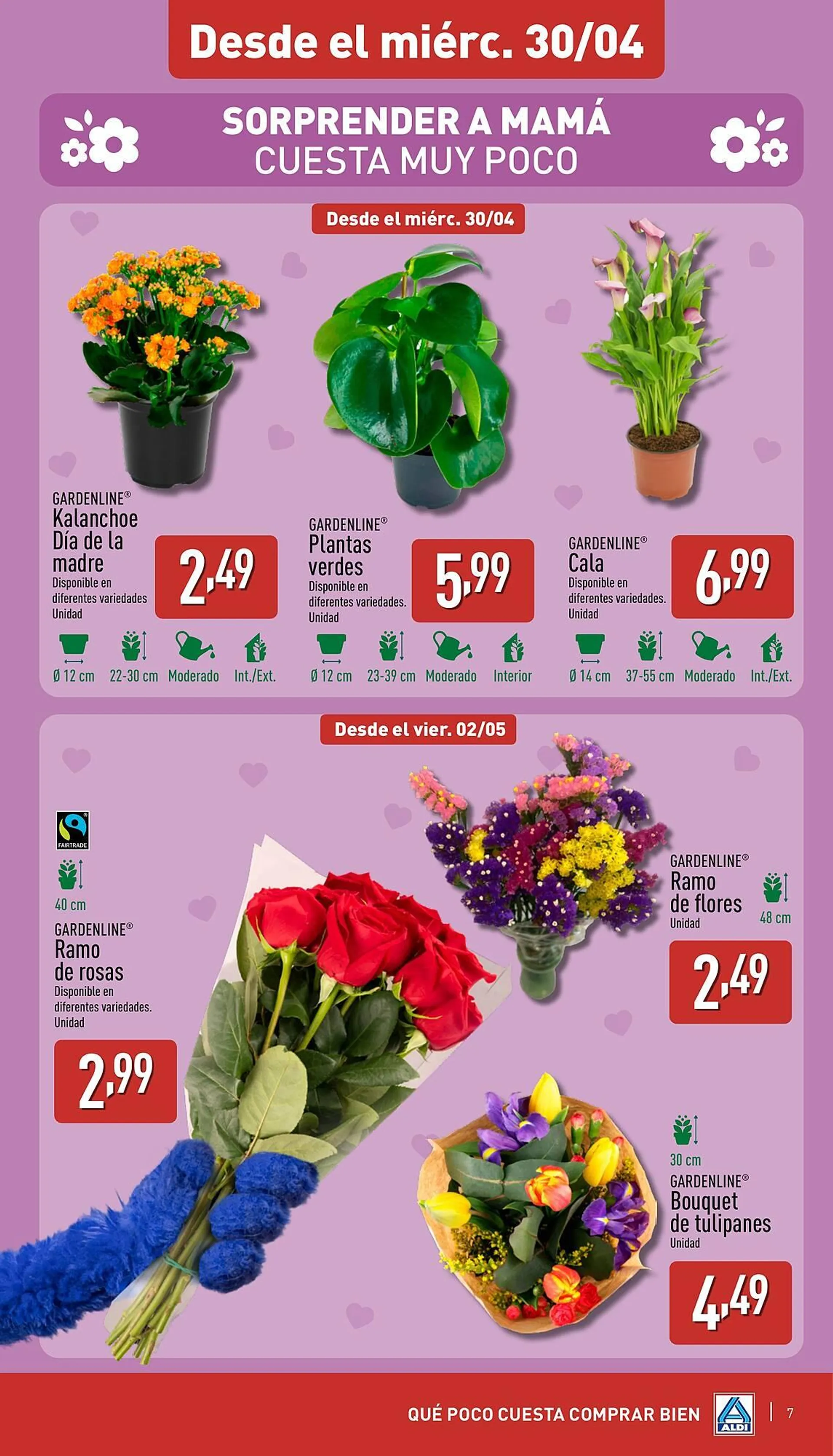 Catálogo de Folleto ALDI 28 de abril al 4 de mayo 2025 - Página 7