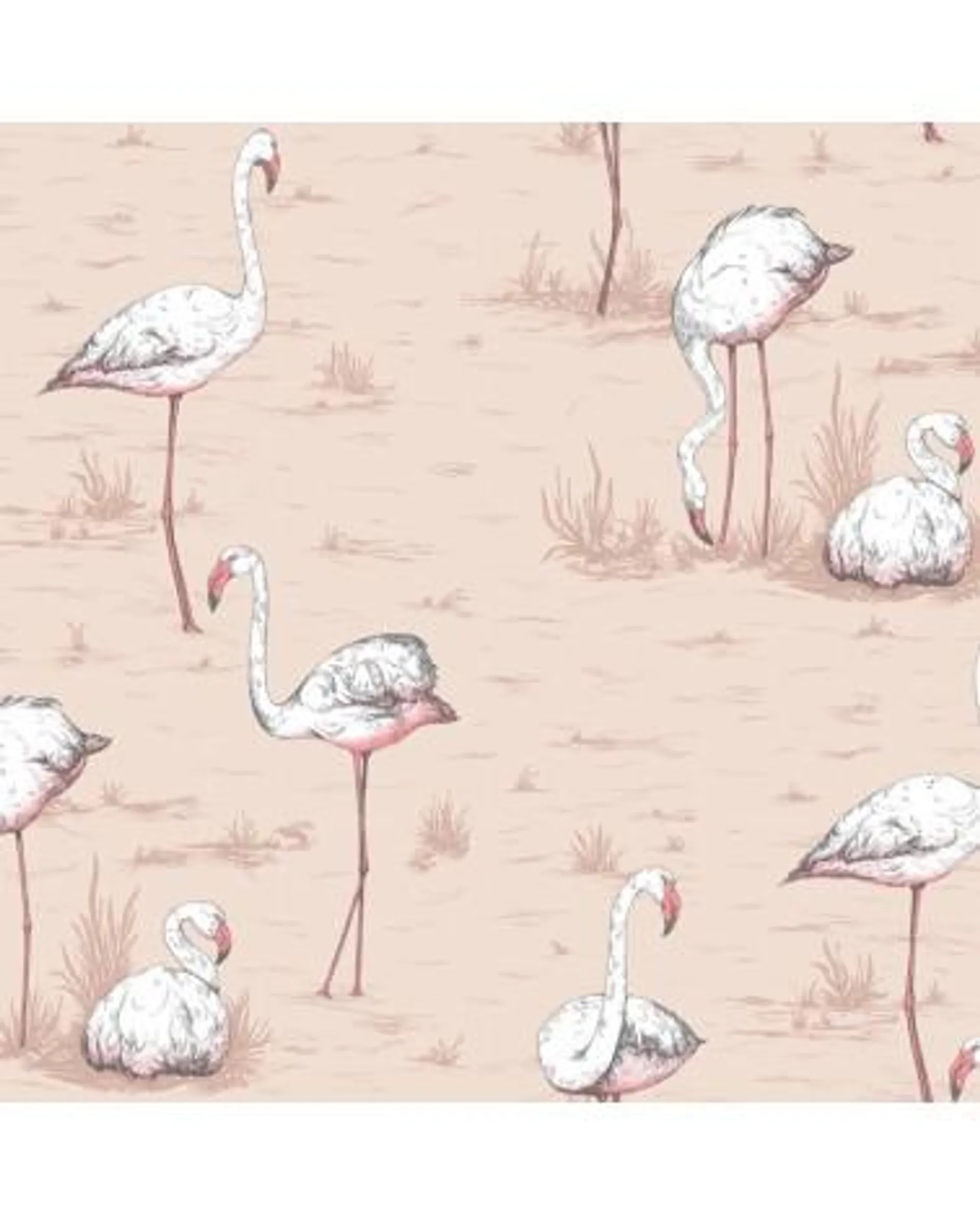 112-11039 FLAMINGOS