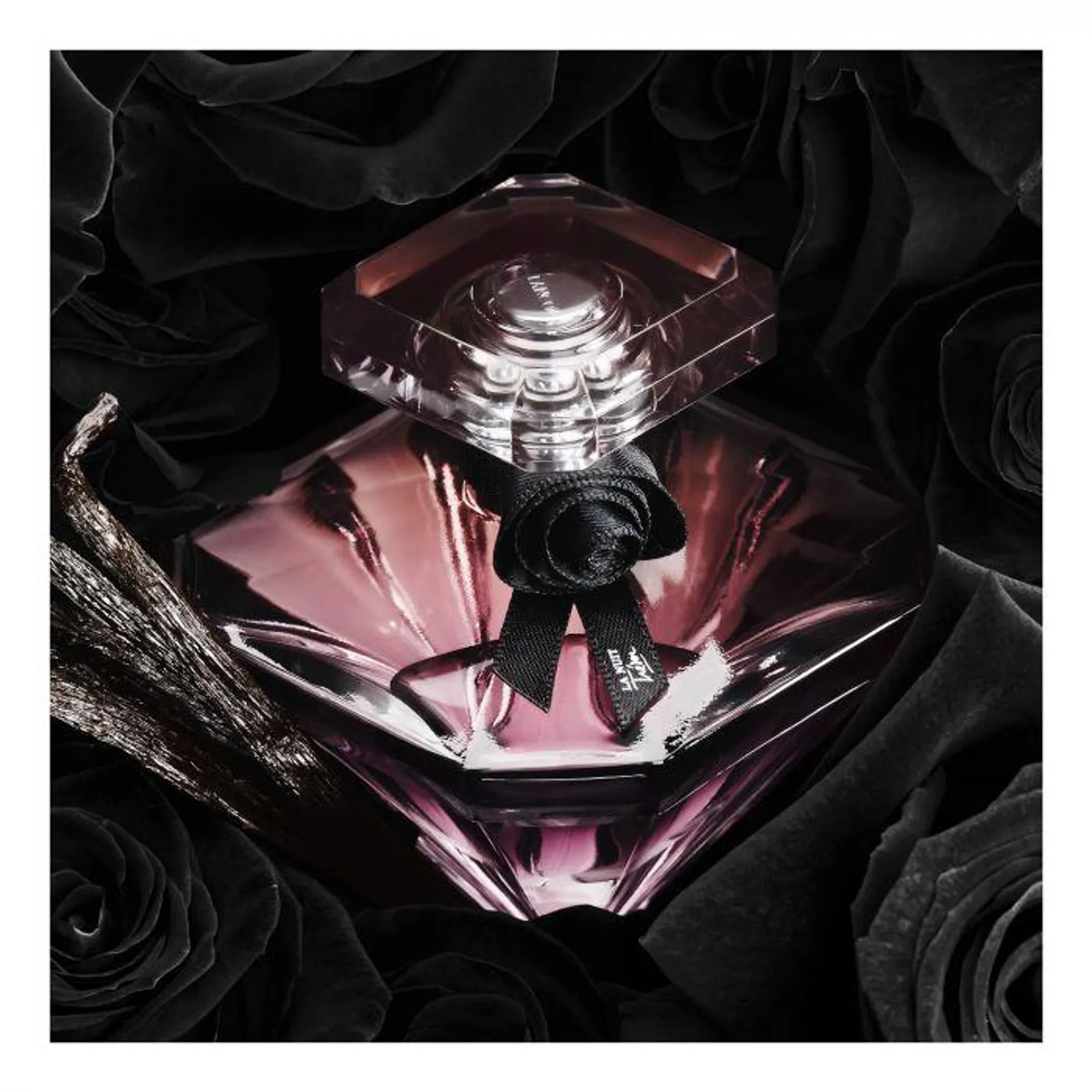 La Nuit Tresor EDP