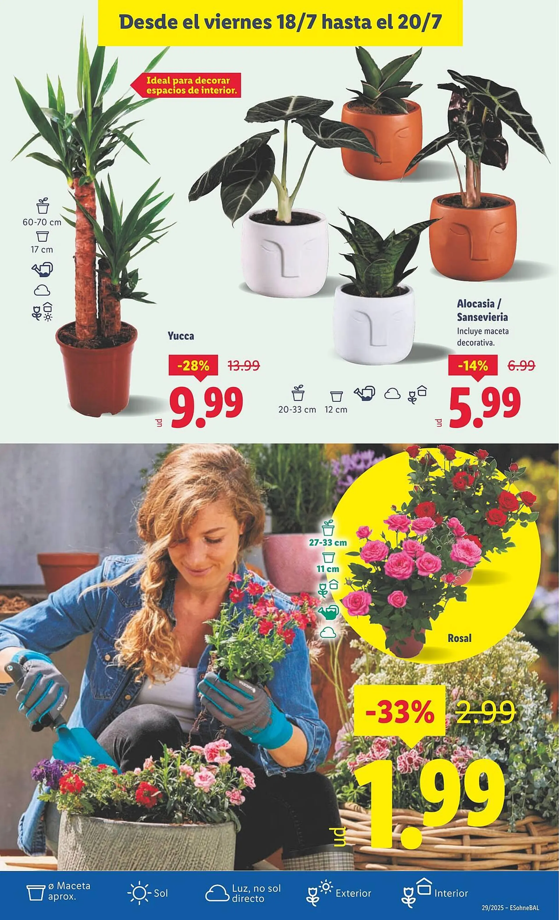 Catálogo de Folleto Lidl 14 de julio al 20 de julio 2025 - Página 25