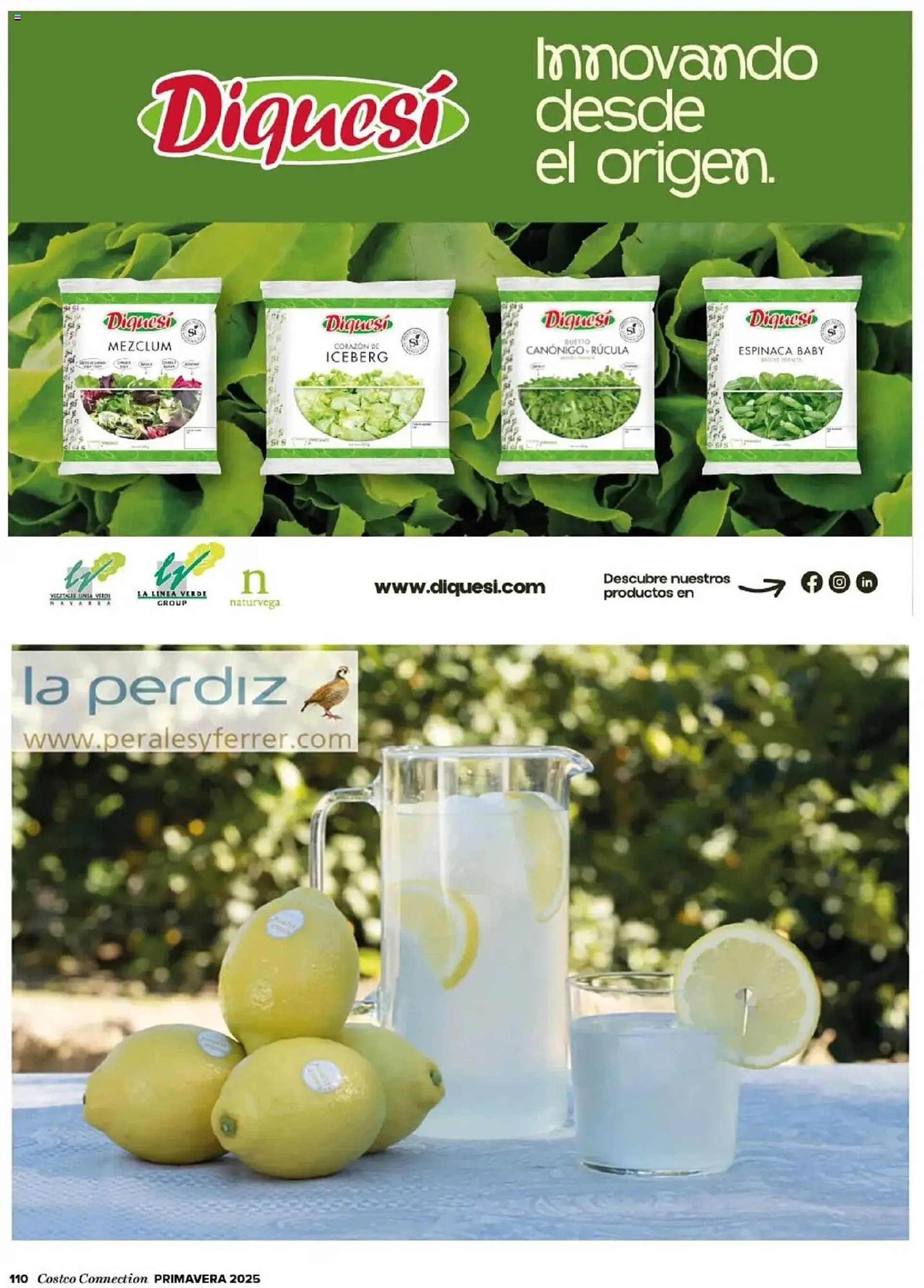 Catálogo de Folleto Costco 8 de abril al 31 de julio 2025 - Página 110