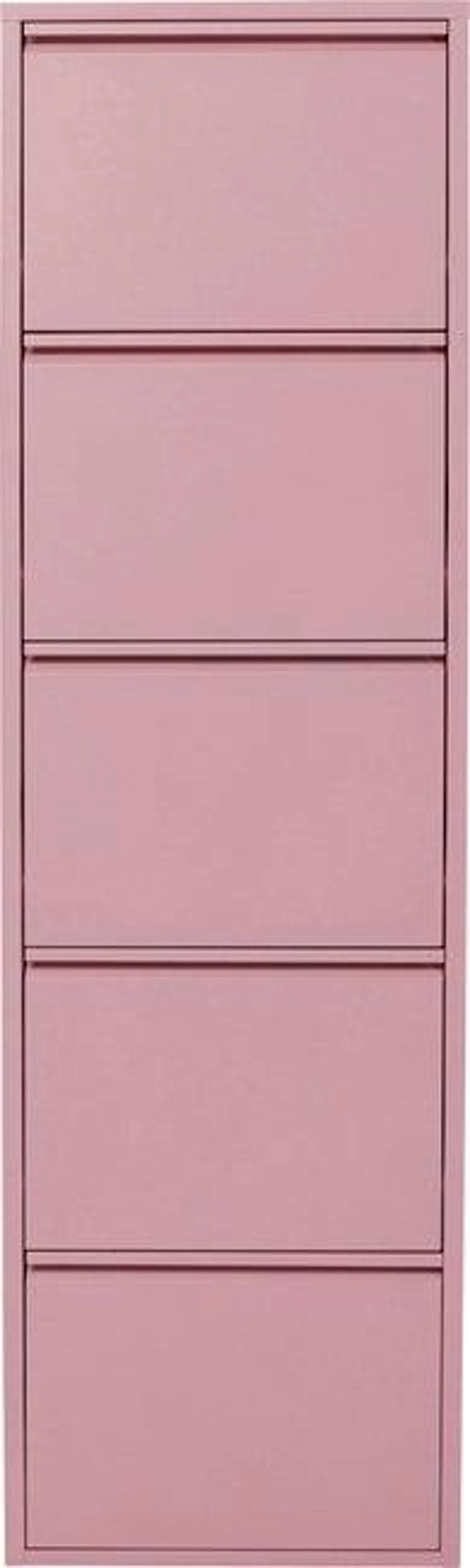 Zapatero de acero rosa 5 compartimentos 50x173 cm