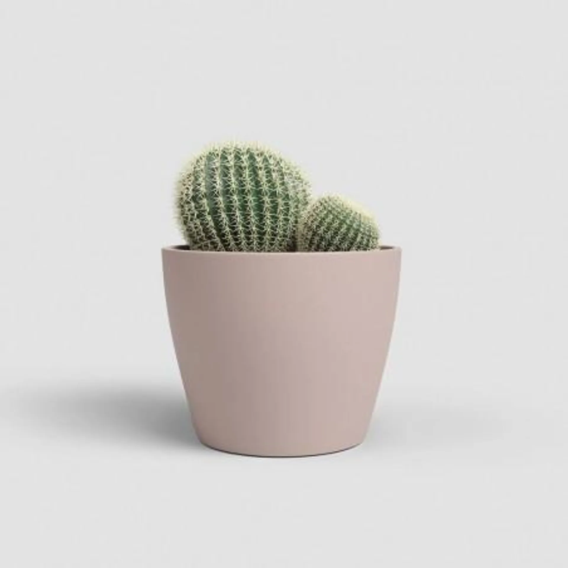 MACETERO NÚBIA CACTUS ROSA