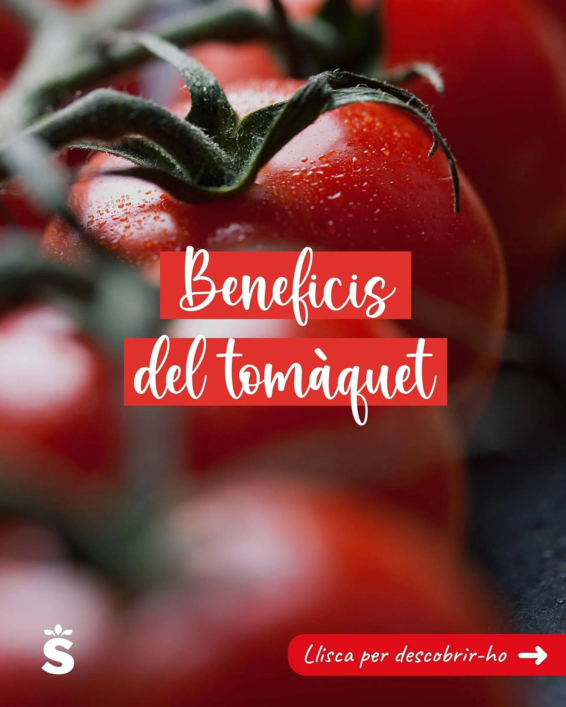 Catálogo de Folleto Sorli 14 de julio al 20 de julio 2025 - Página 1