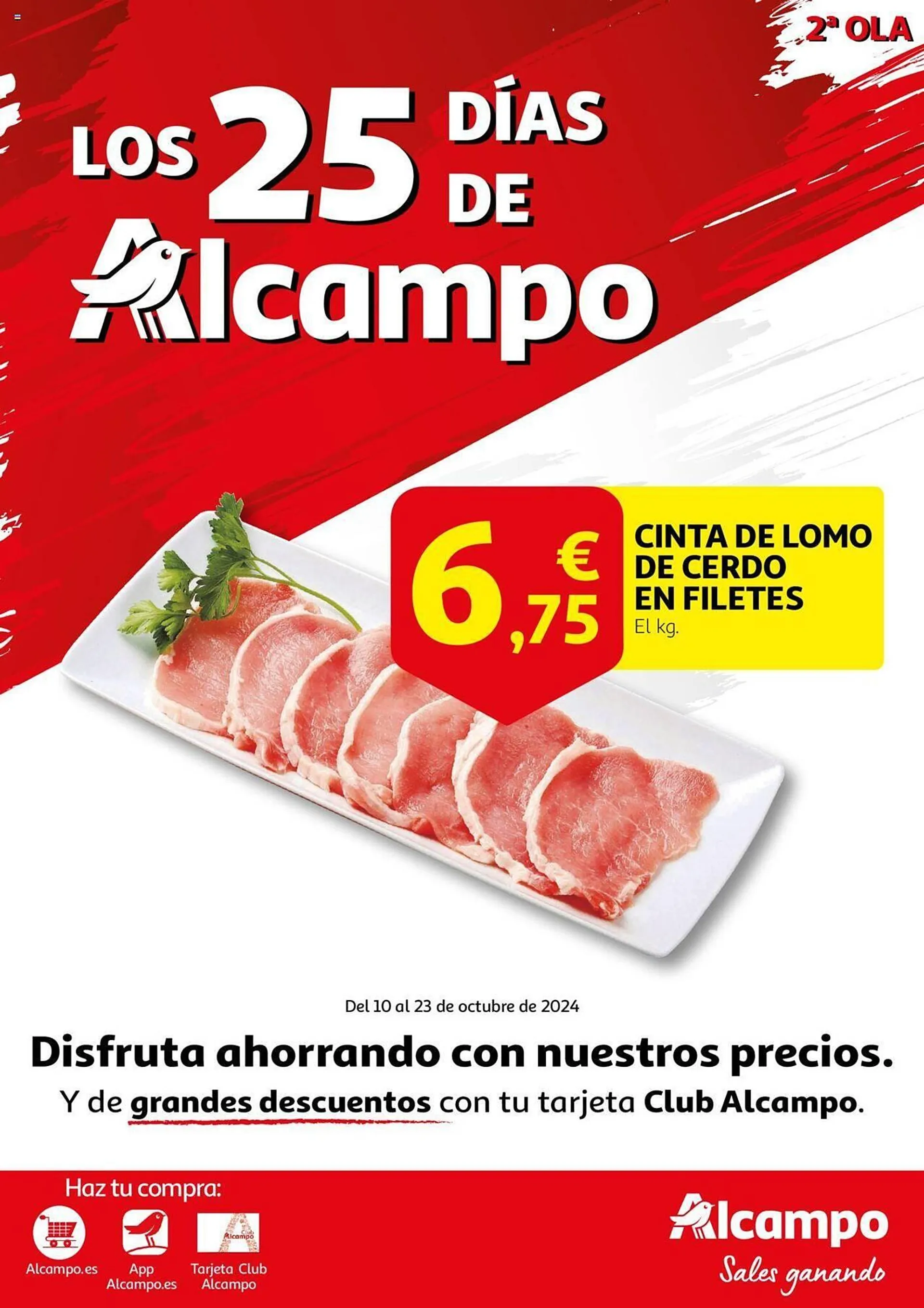 Folleto Alcampo - 1