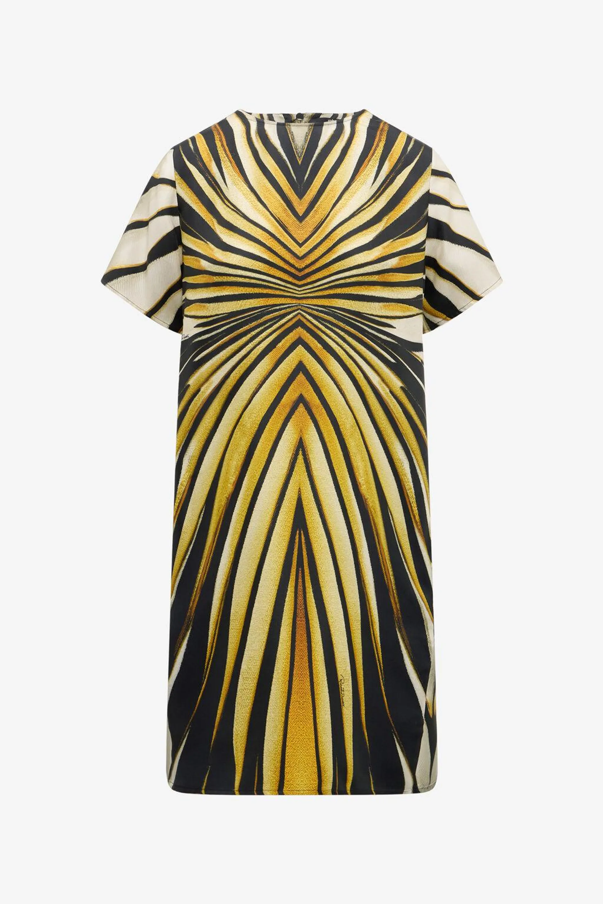 Ray Of Gold Print Silk Dress