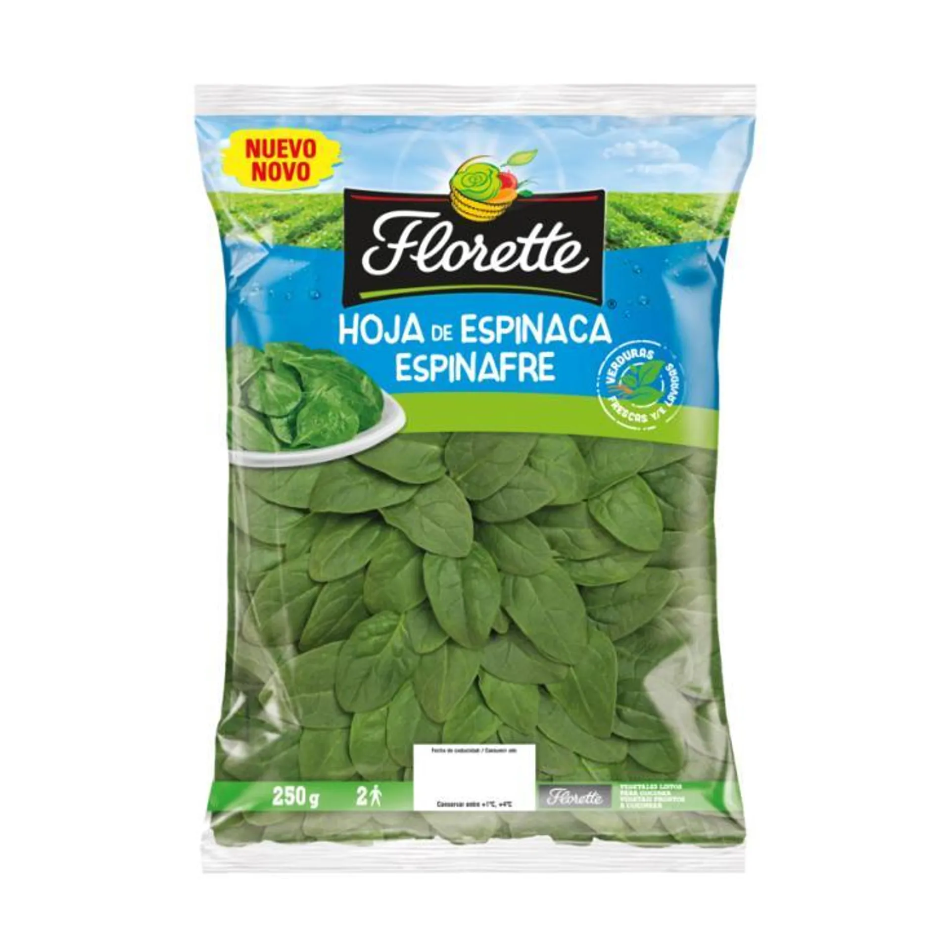 BROTES DE ESPINACAS , 125G FLORETTE