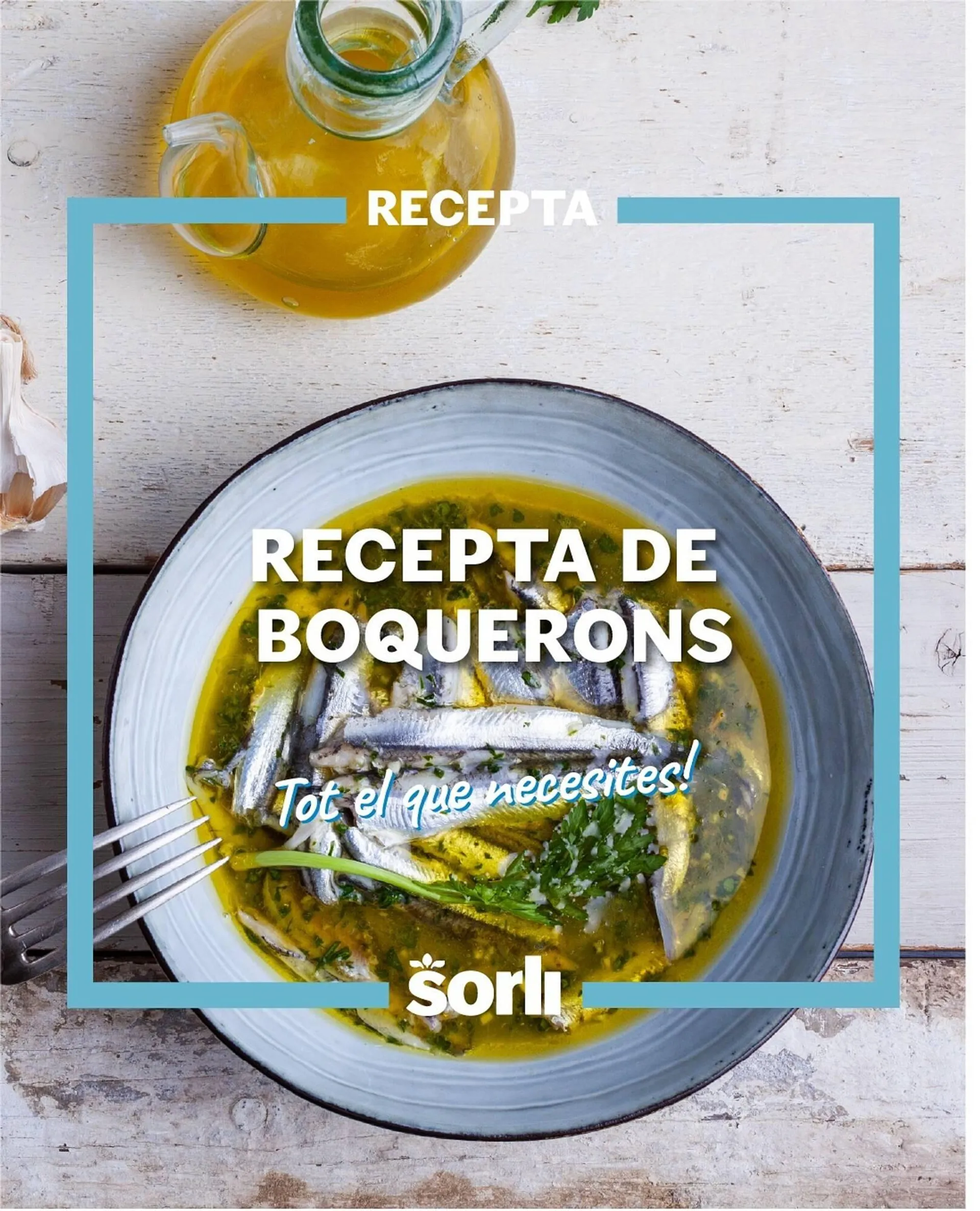 Folleto Sorli - 1