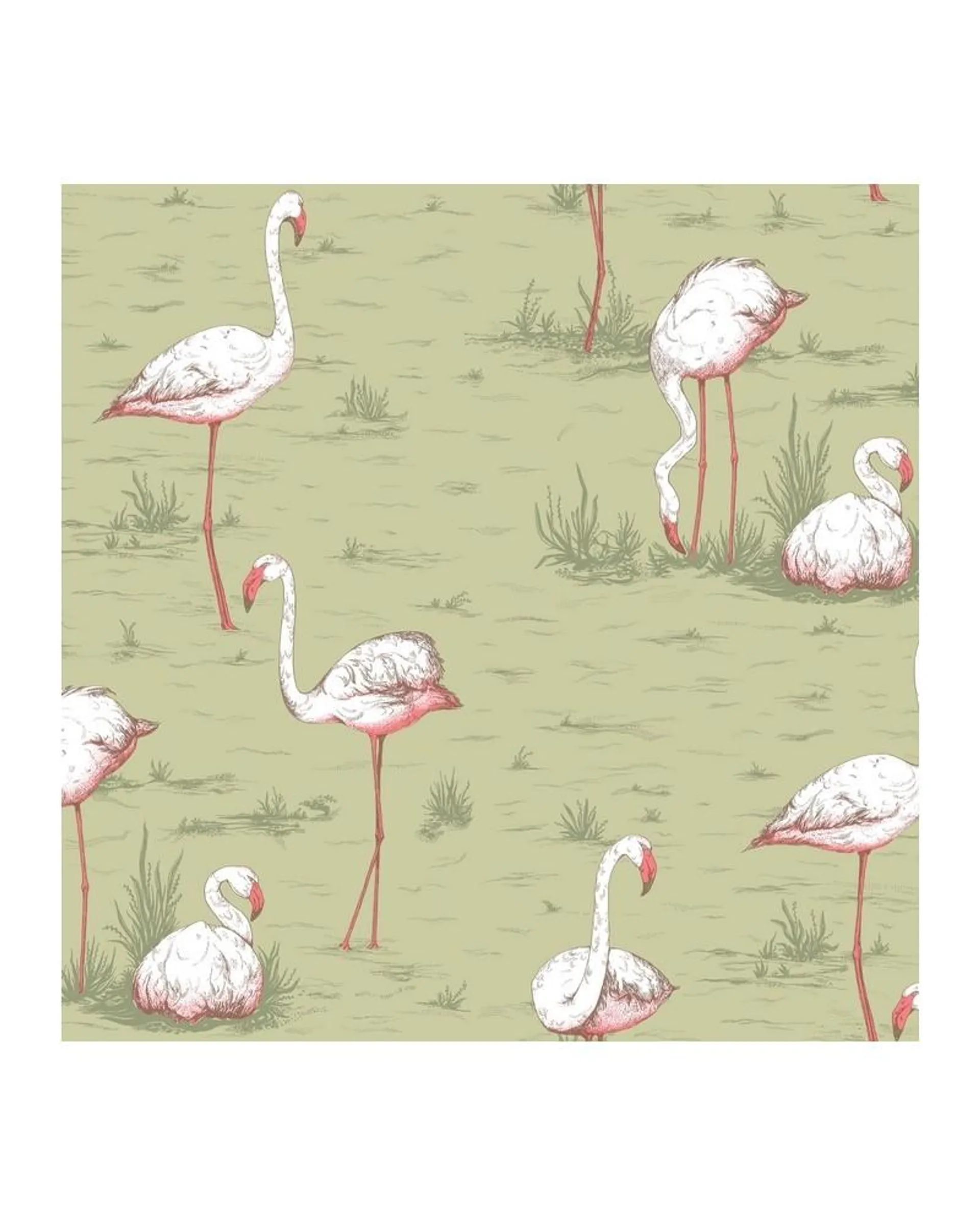 PAPEL PINTADO 112-11038 FLAMINGOS