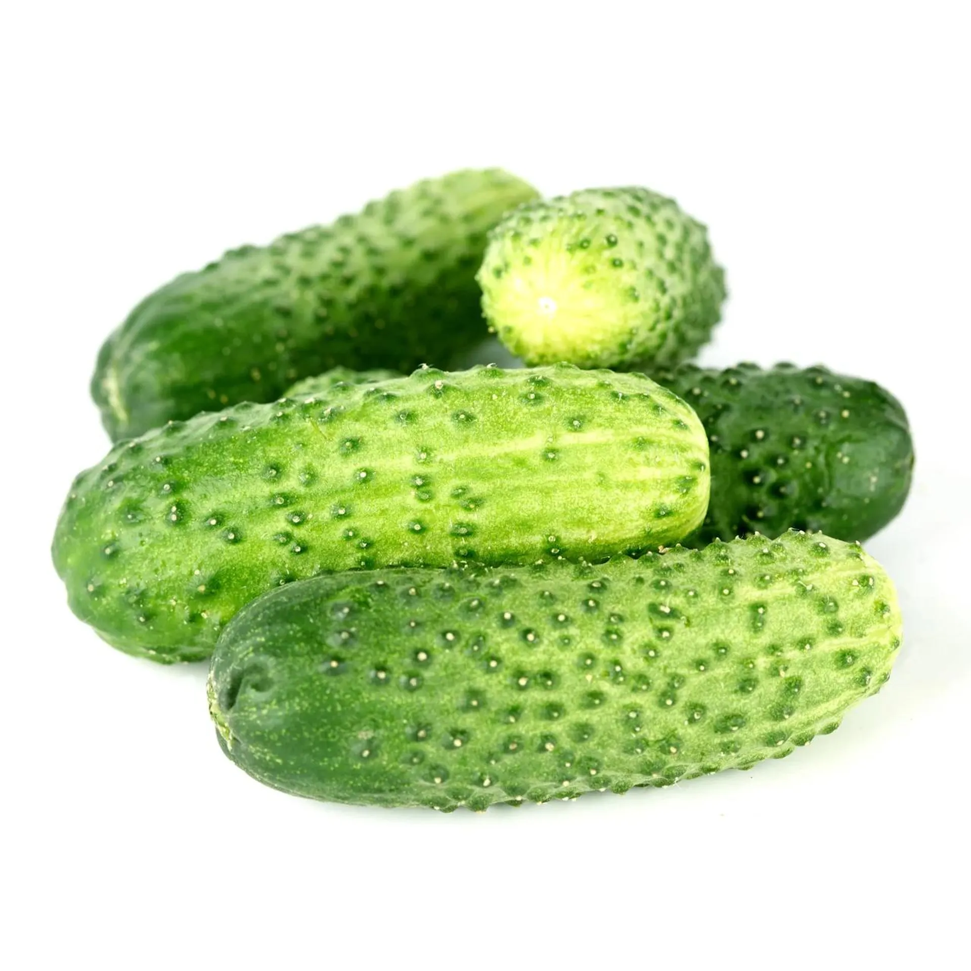 Pepino malla de 1kg.