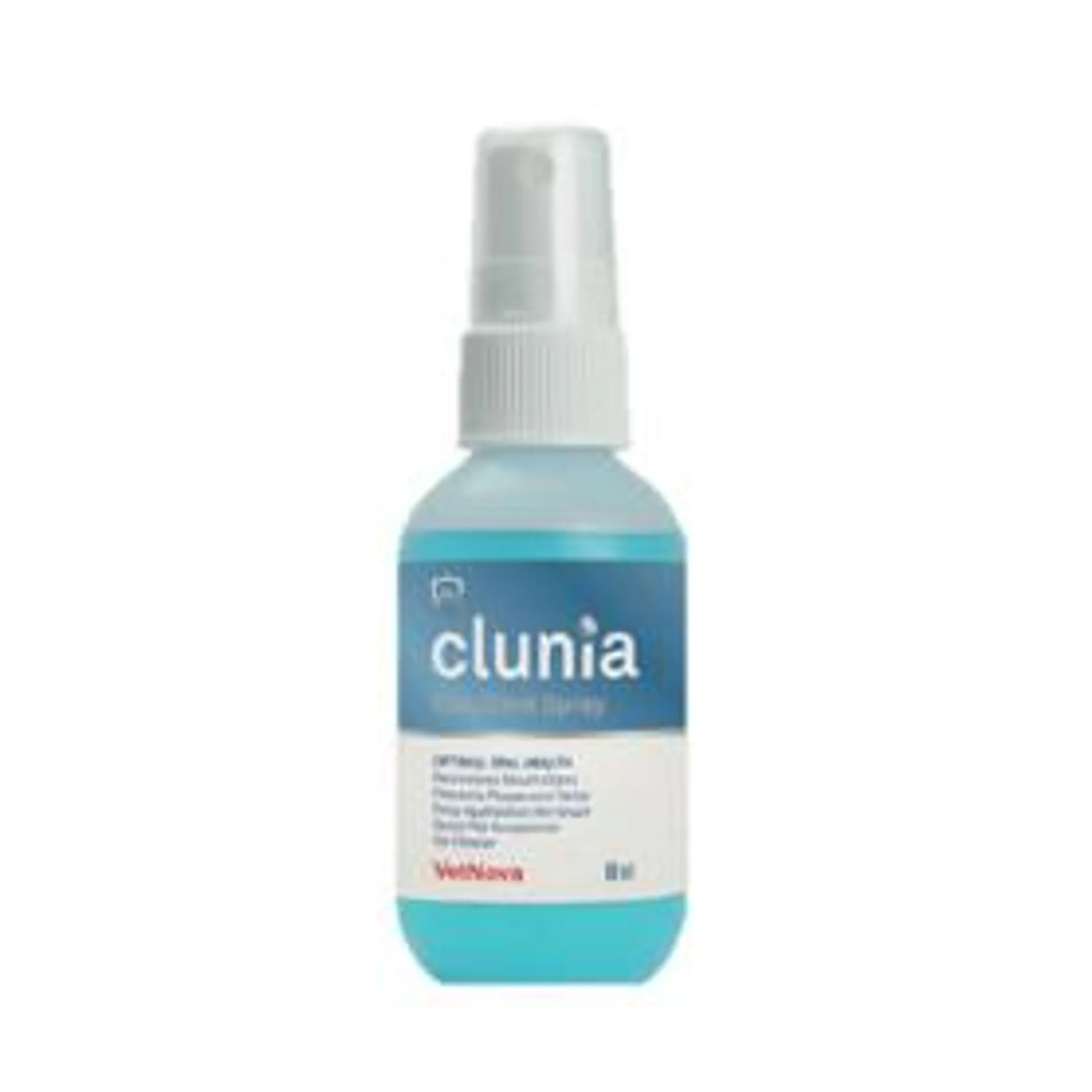 CLUNIA Easy Dent Spray
