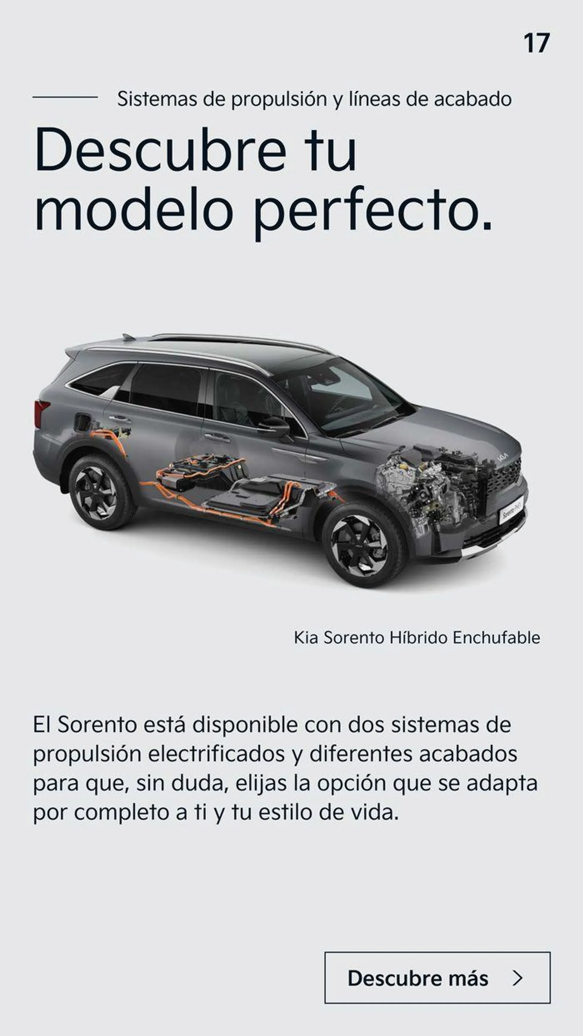 Catálogo de Sorento 15 de julio al 13 de julio 2025 - Página 17