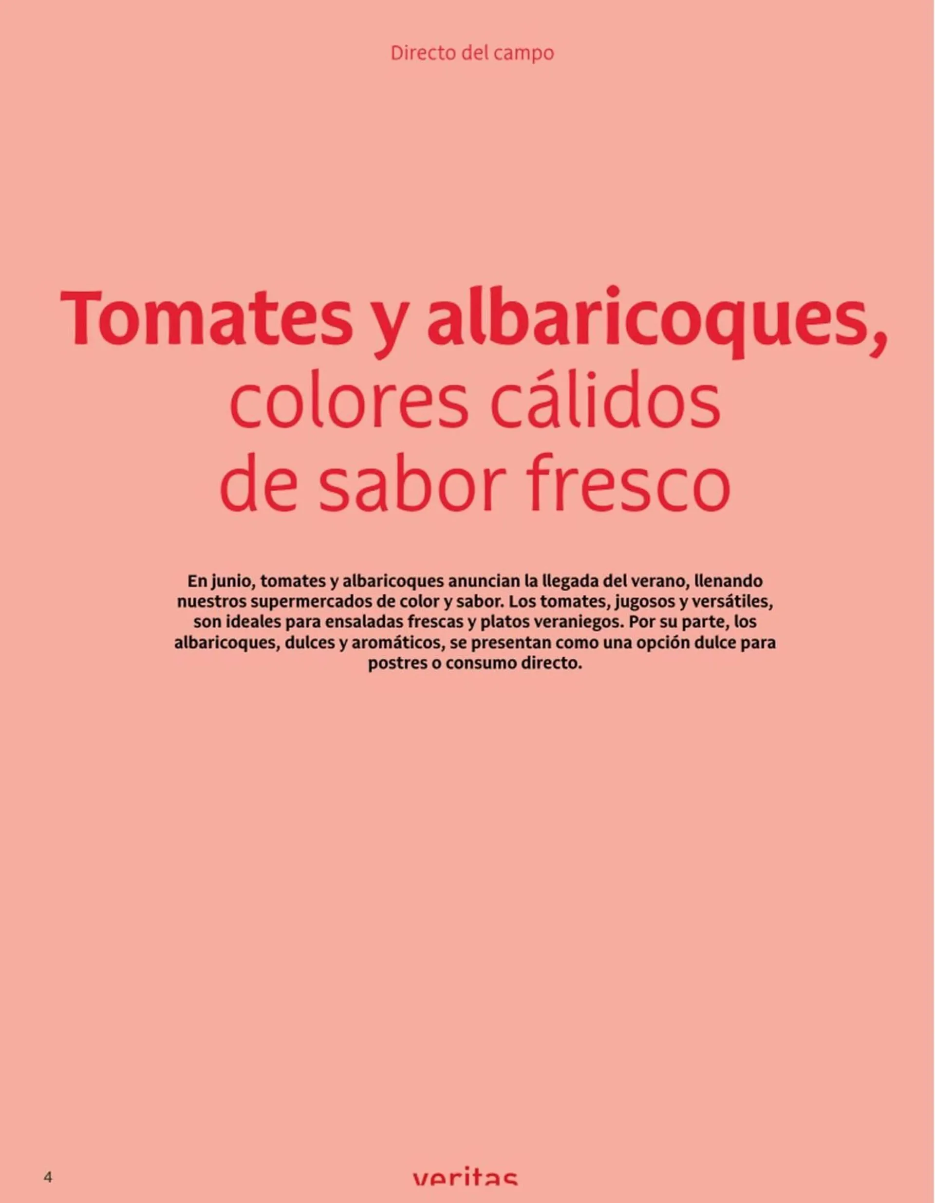 Catálogo de Folleto Veritas 2 de junio al 30 de junio 2025 - Página 4