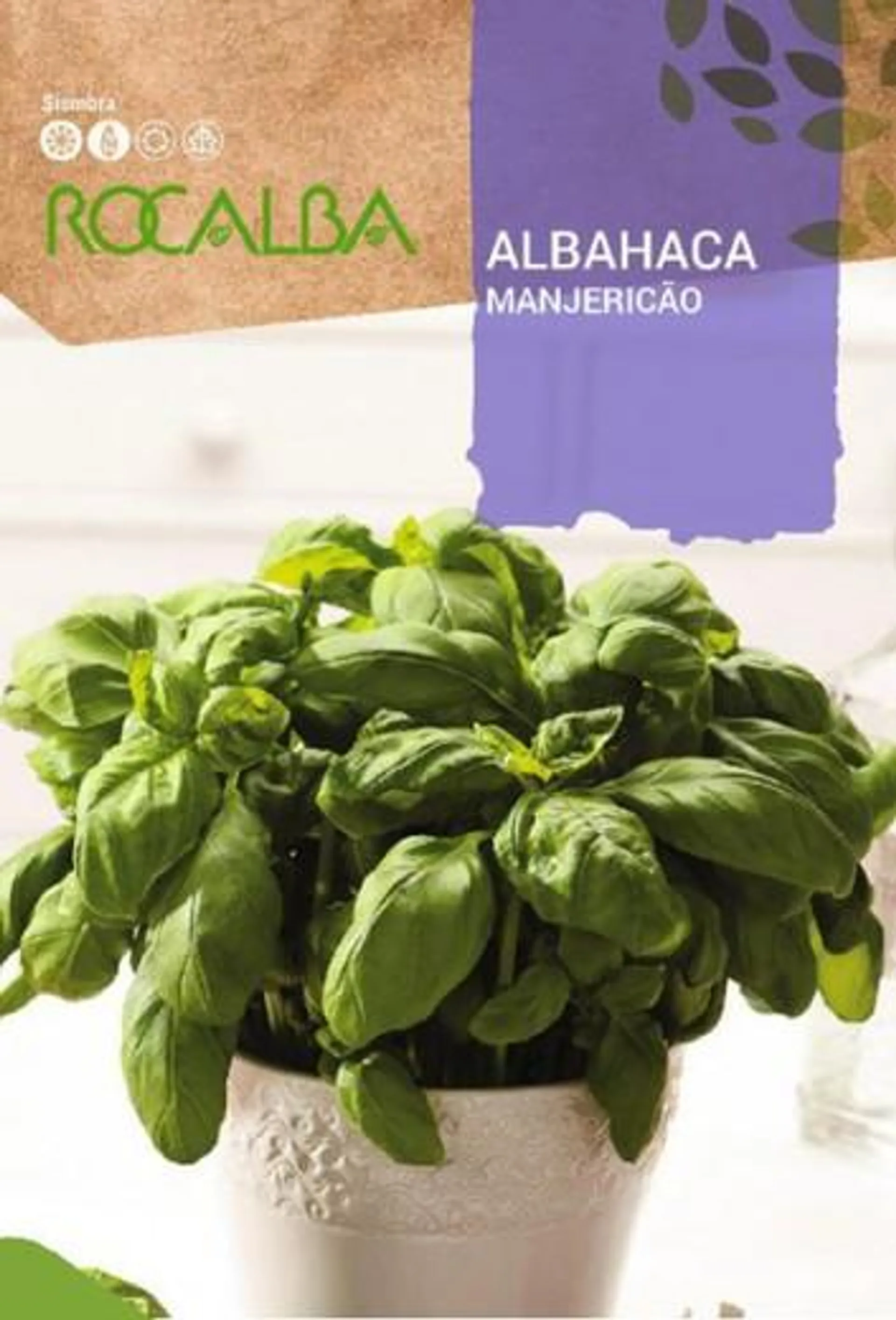 Albahaca genovesa hoja grande