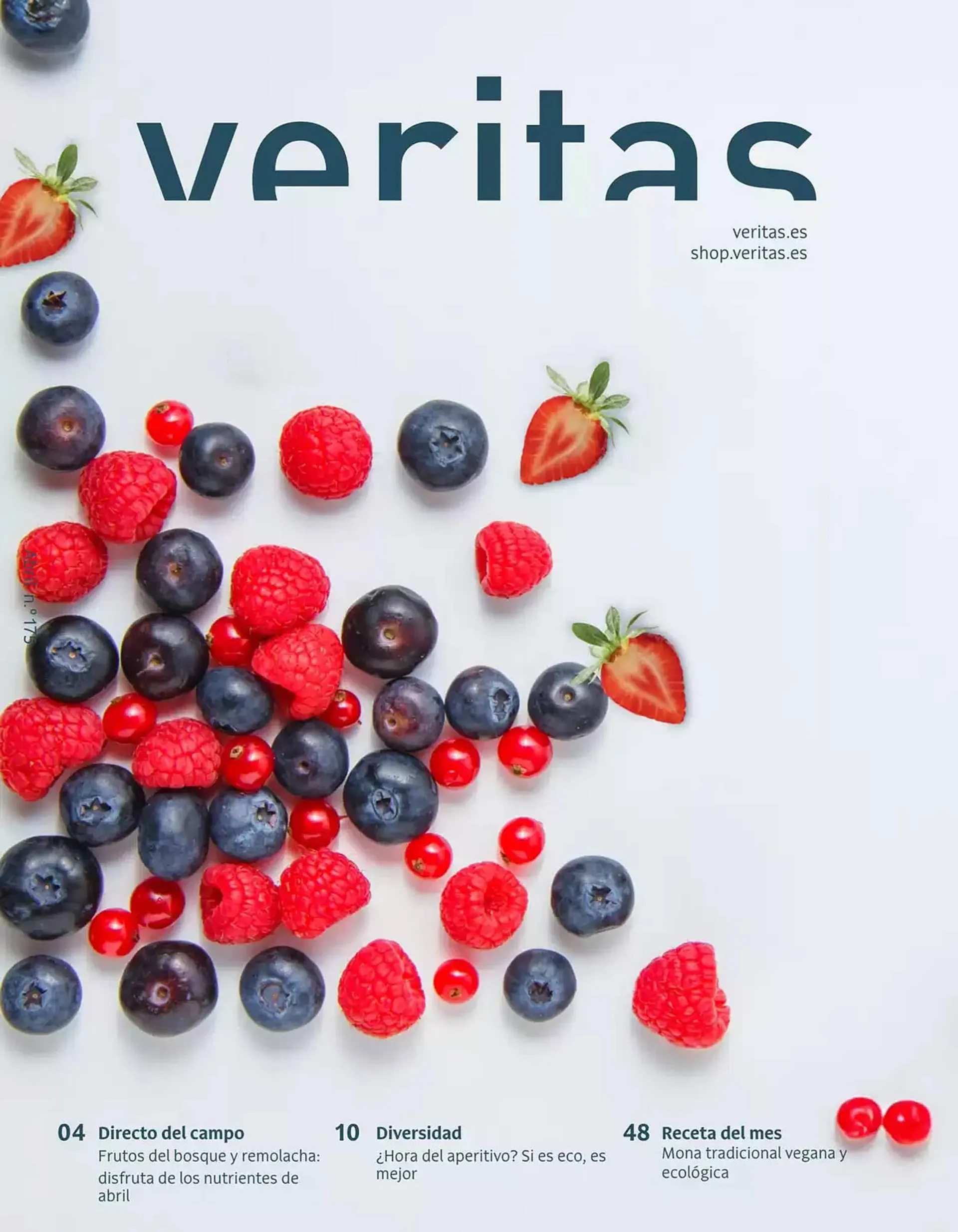 Folleto Veritas - 1