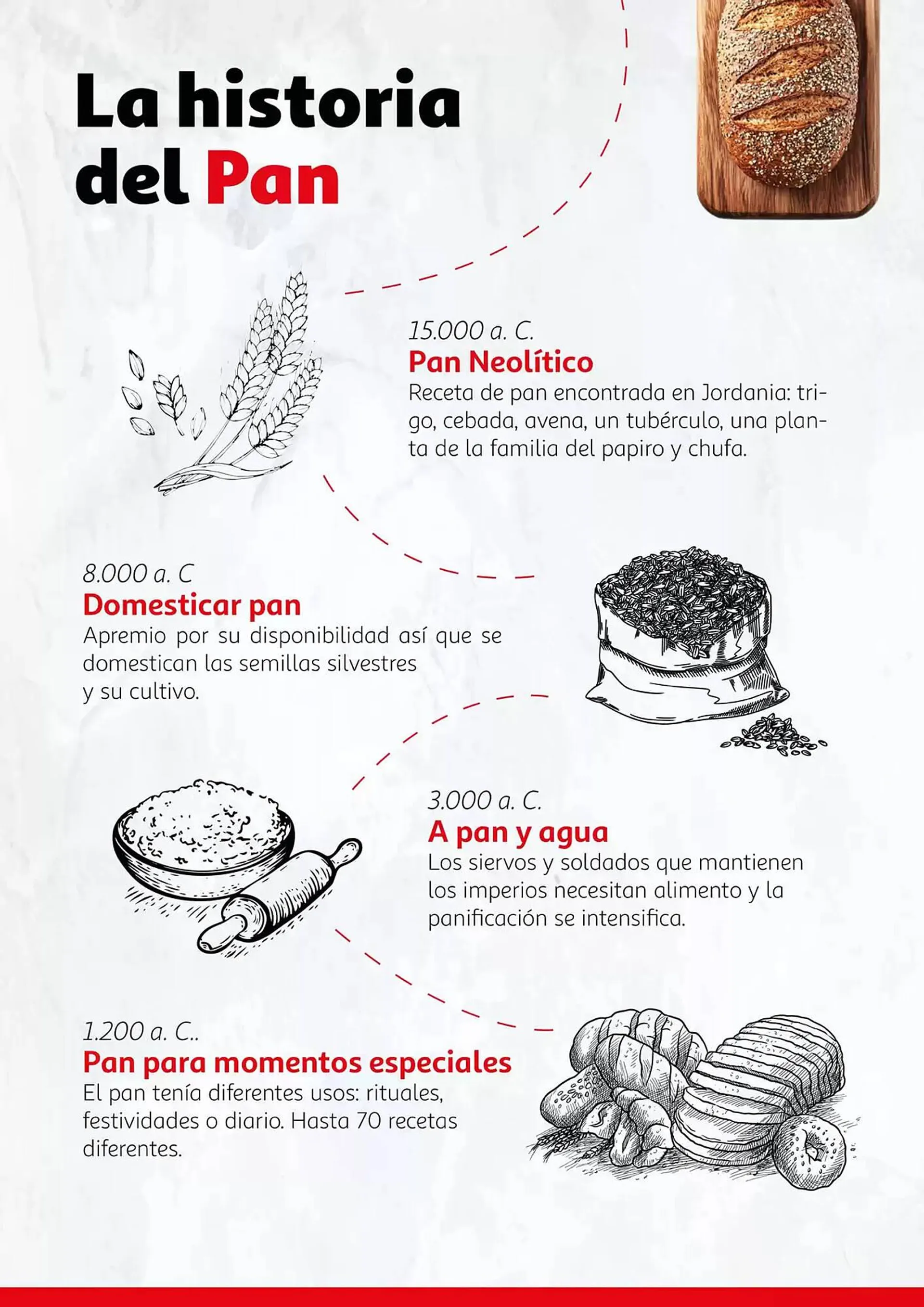 Catálogo de Folleto Alcampo 17 de octubre al 31 de diciembre 2024 - Página 8