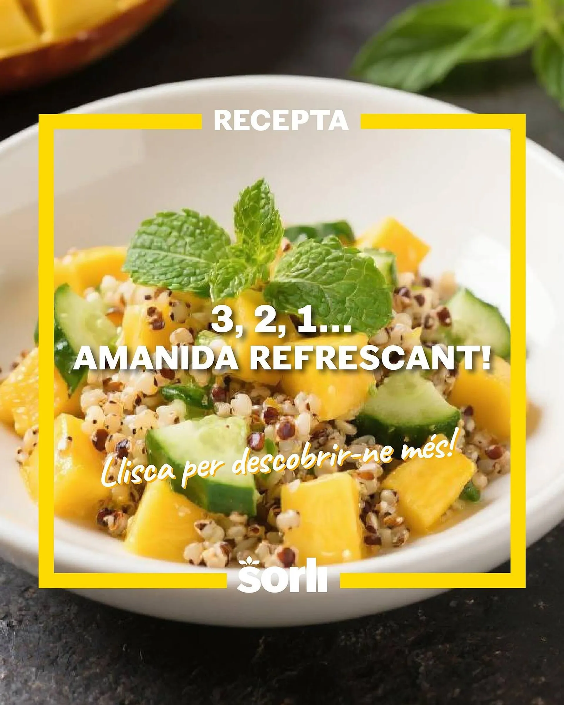 Folleto Sorli - 1
