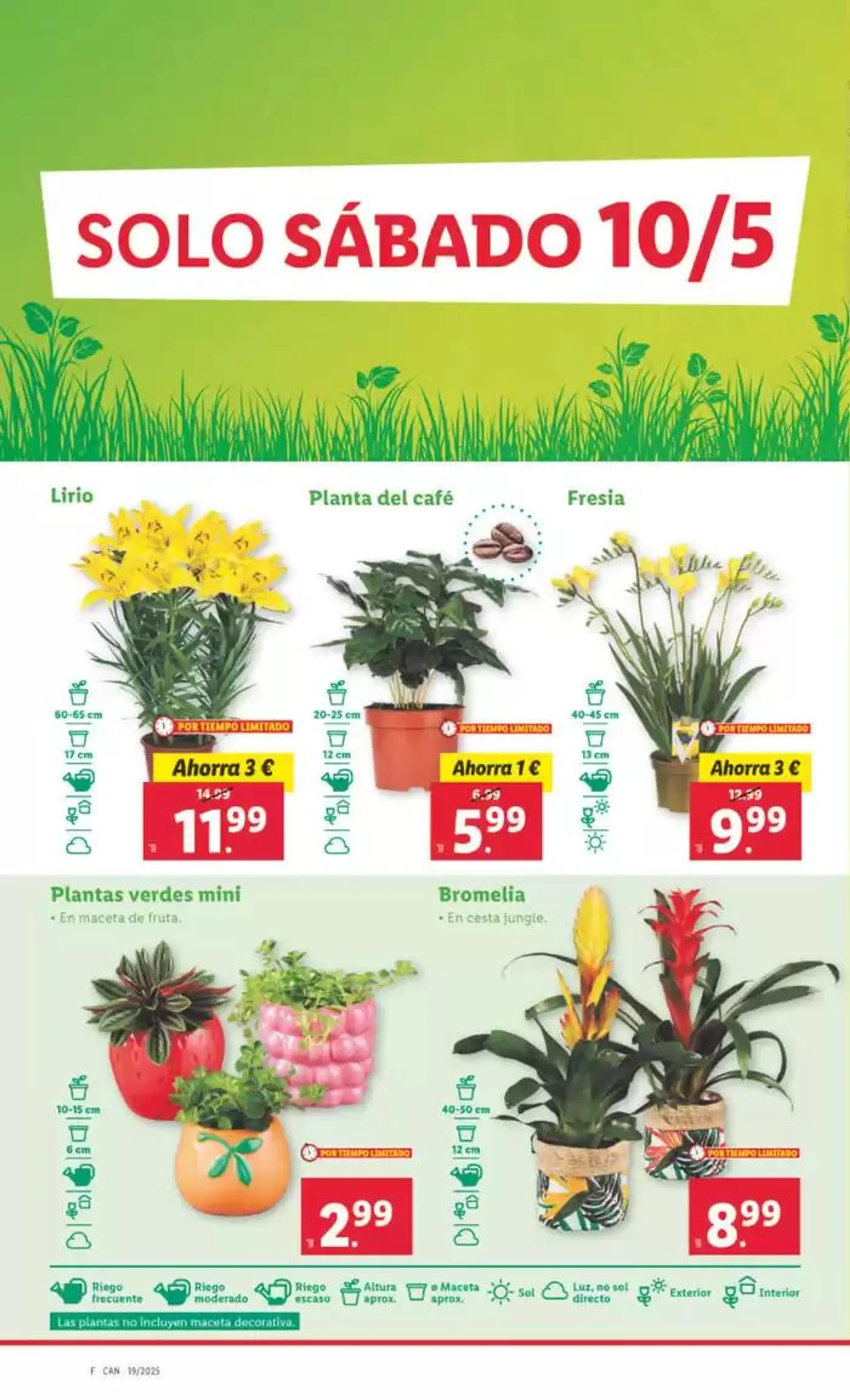 Catálogo de № 1 PRECIO - Ofertas válidas del 05/05 al 11/05 5 de mayo al 11 de mayo 2025 - Página 34