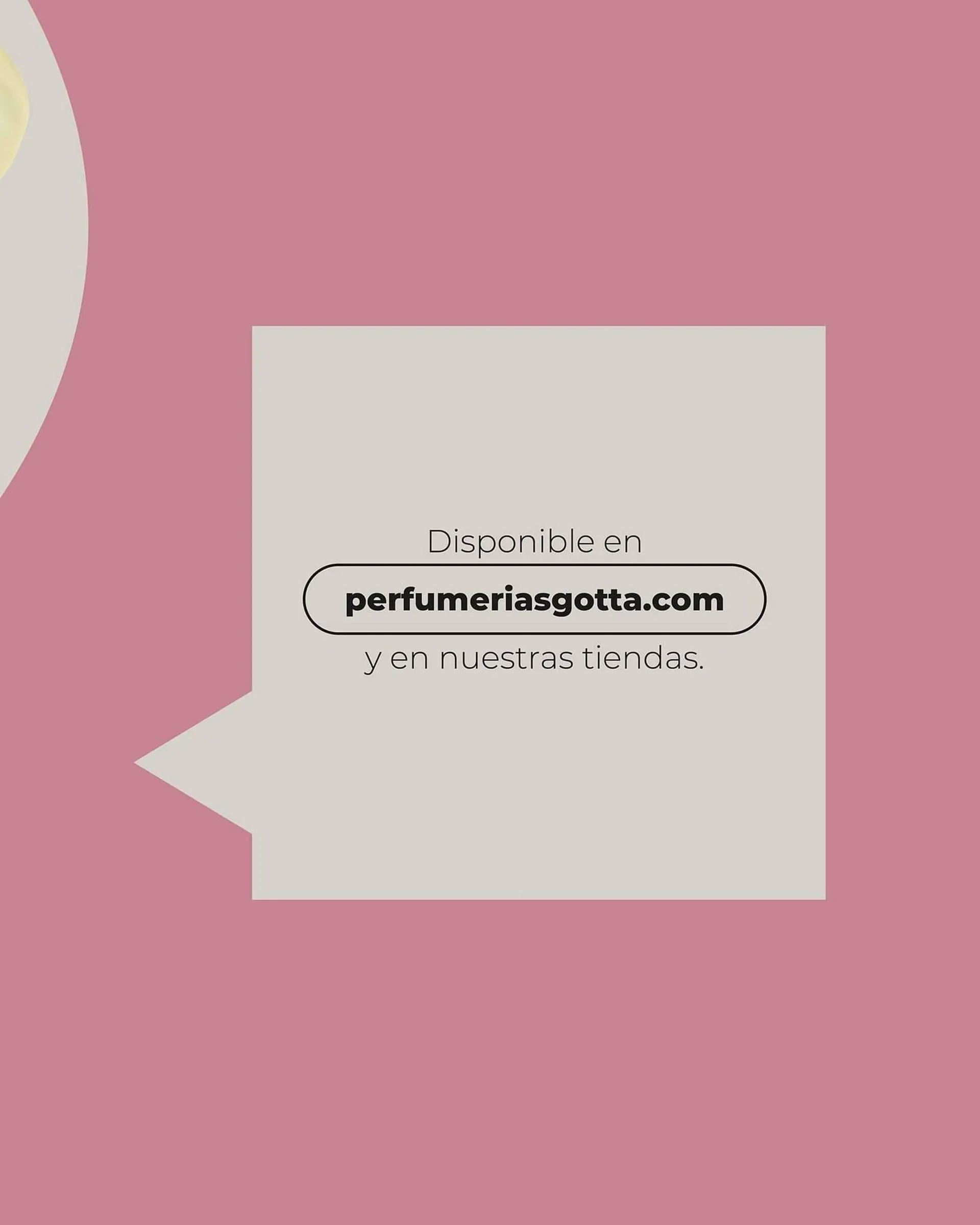 Catálogo de Folleto Gotta Perfumeries 16 de febrero al 17 de marzo 2024 - Página 5