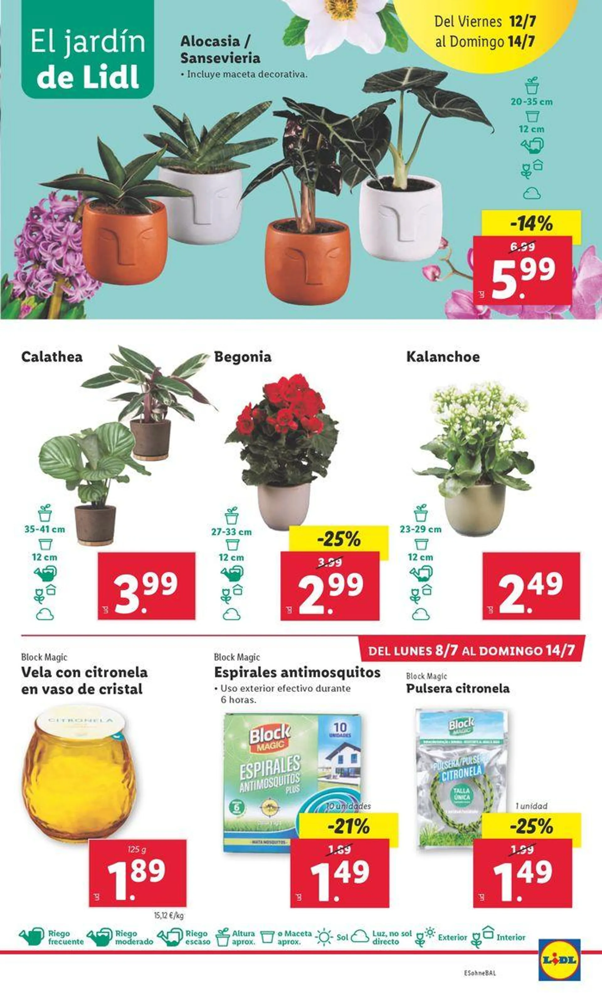 Catálogo de ¡Bazar Lidl! 8 de julio al 9 de junio 2024 - Página 41