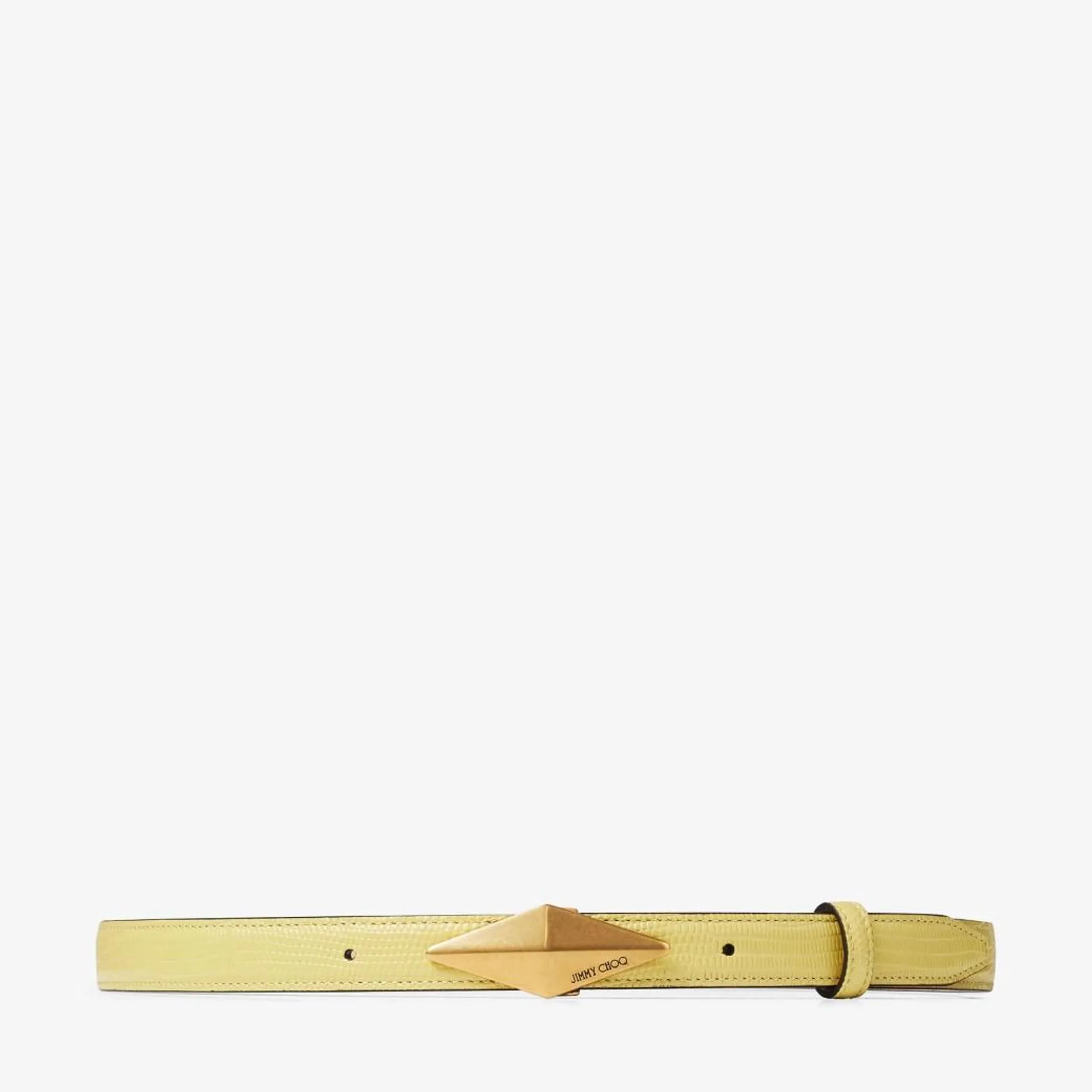 Diamond Clasp Belt