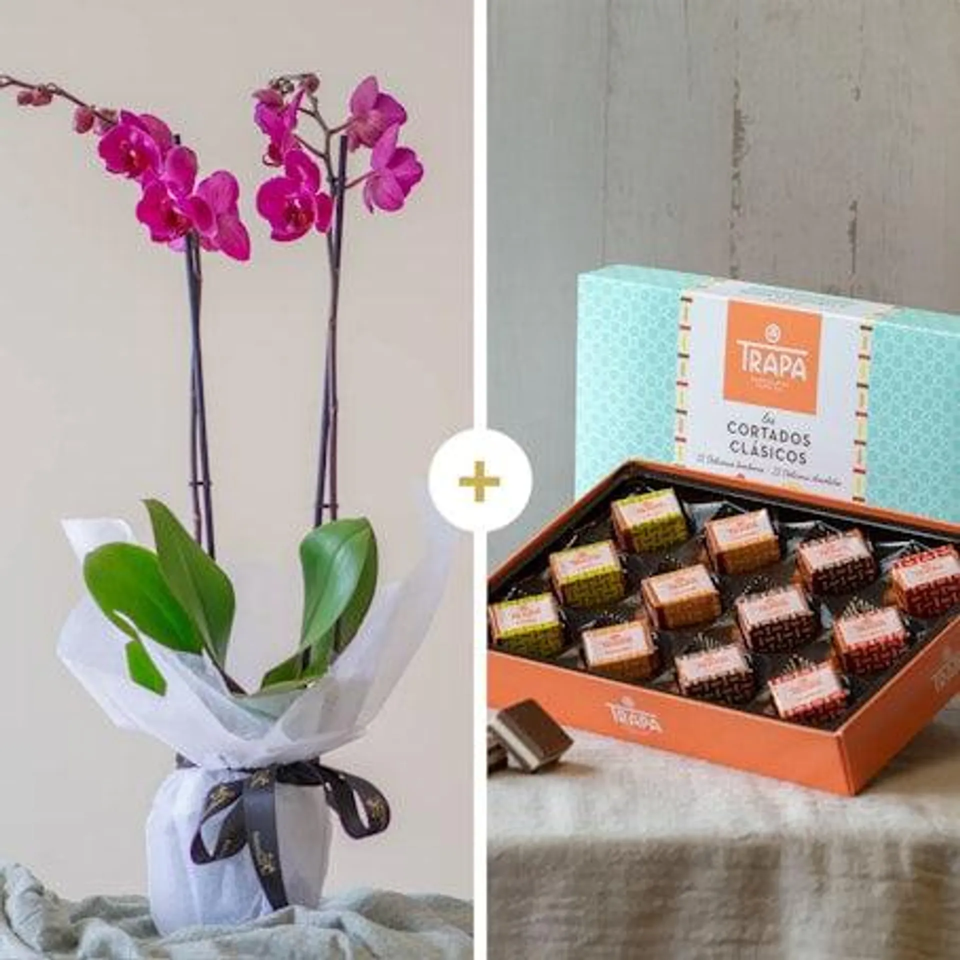 Pack con orquídea y chocolate trapa