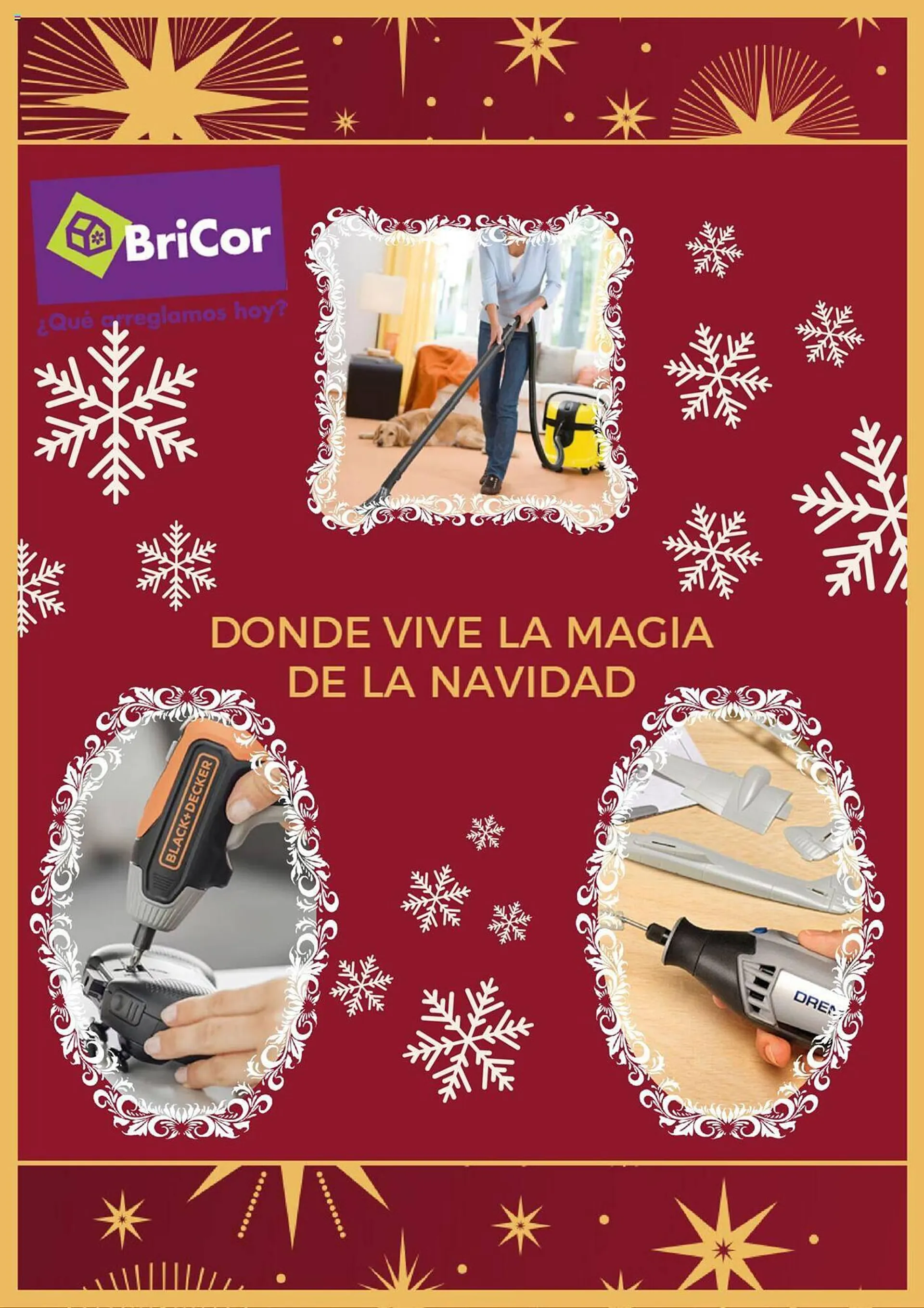 Catálogo de Folleto BriCor 13 de diciembre al 13 de enero 2024 - Página 