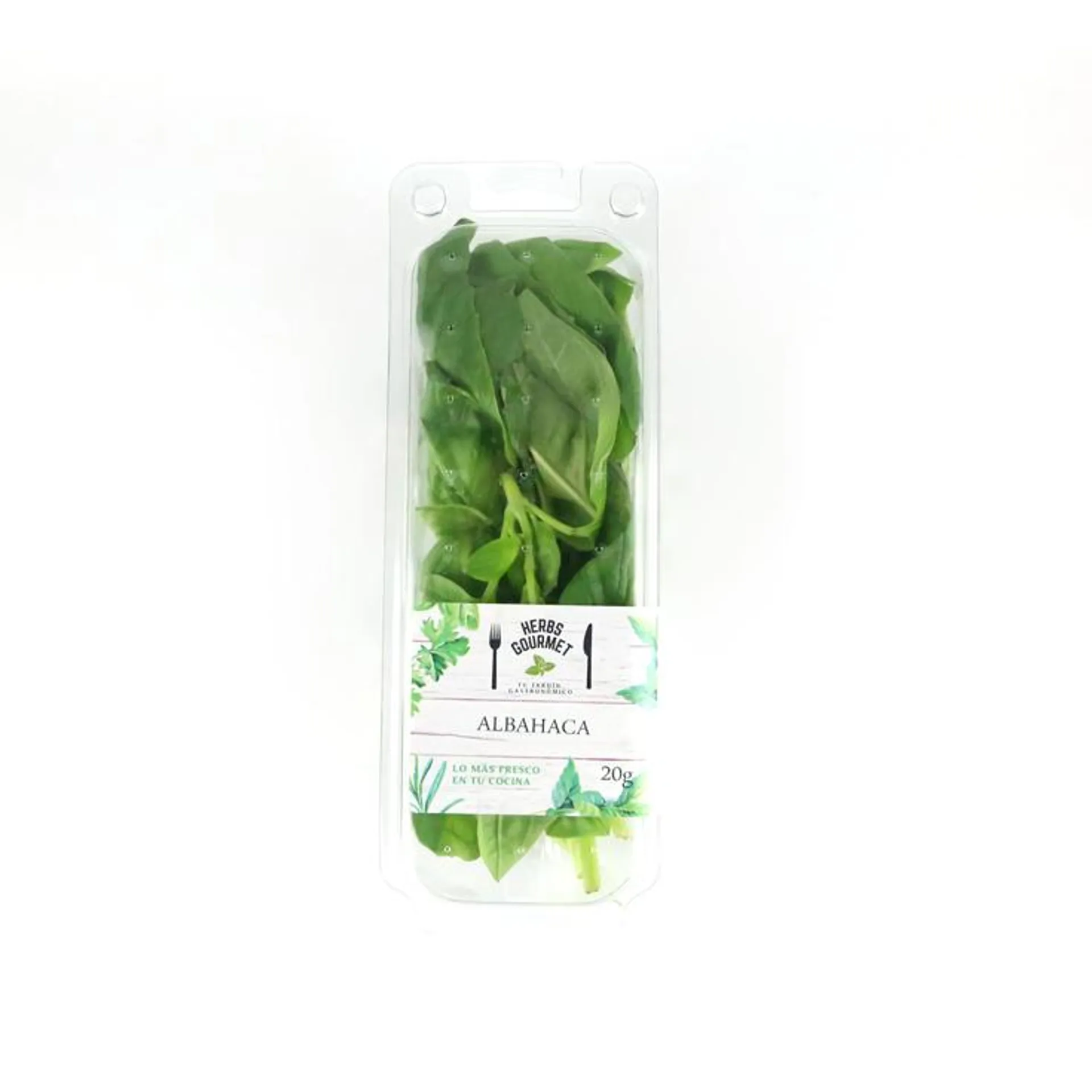 ALBAHACA BLISTER , 20G HERBS GOURMET