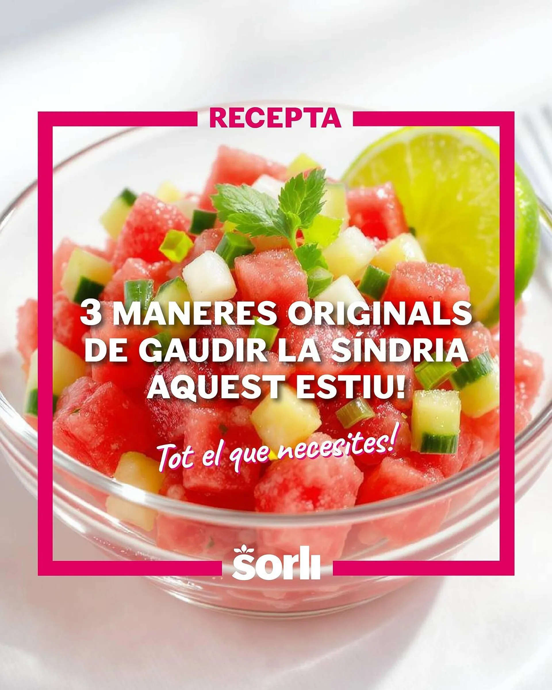 Folleto Sorli - 1